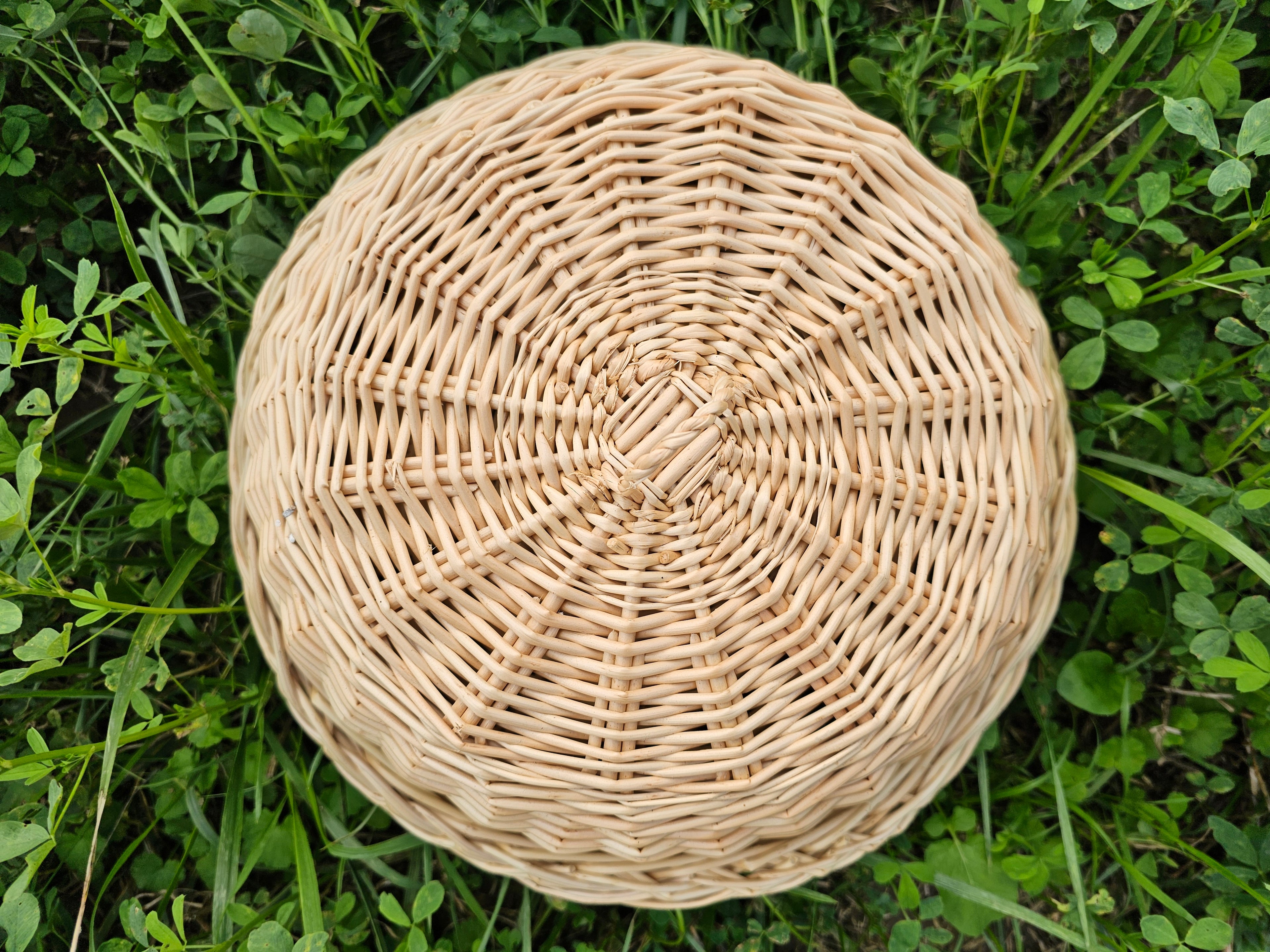 Padėklas su dangčiu 017b