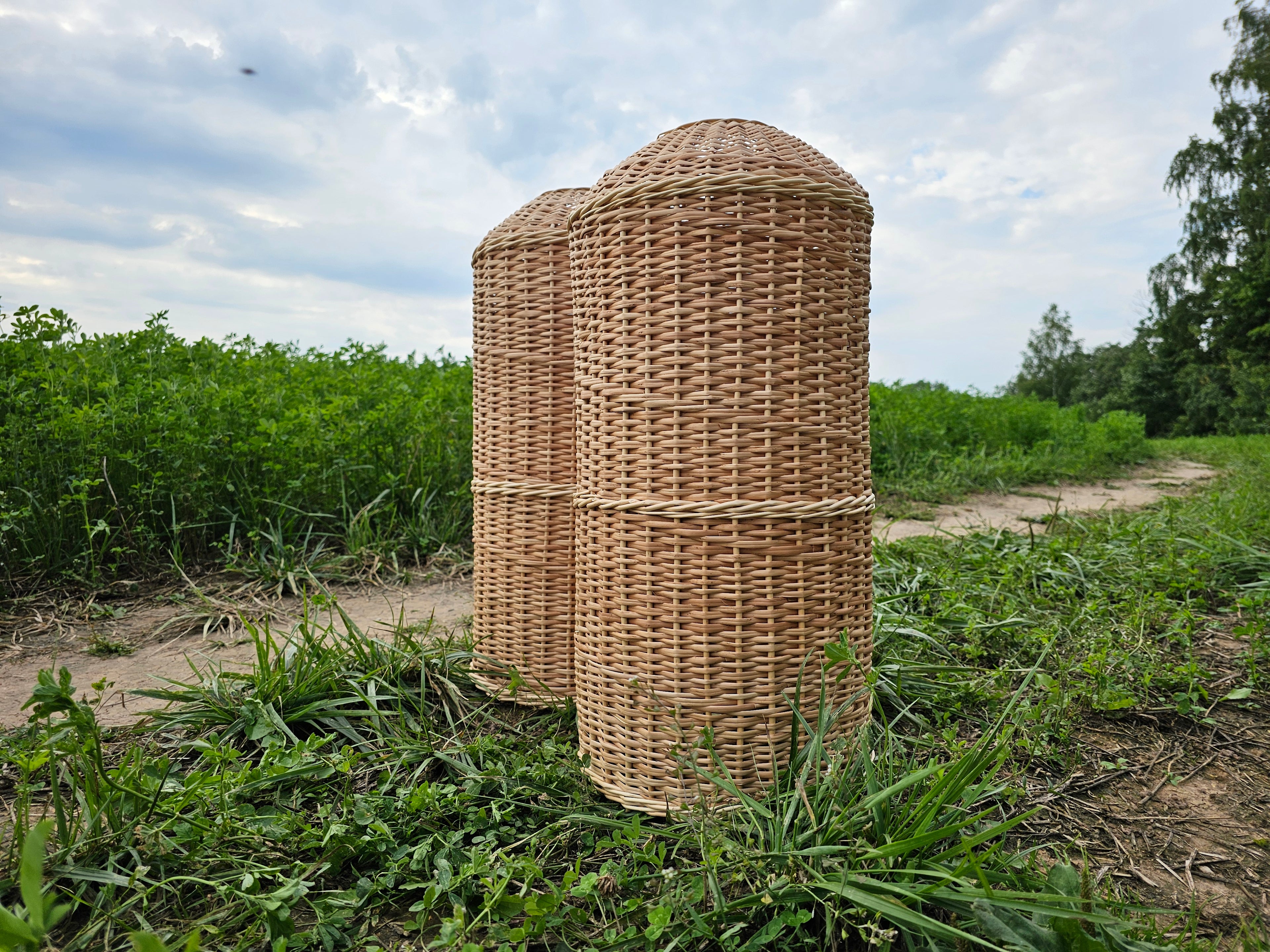 Gaubtas dujų balionui 012r