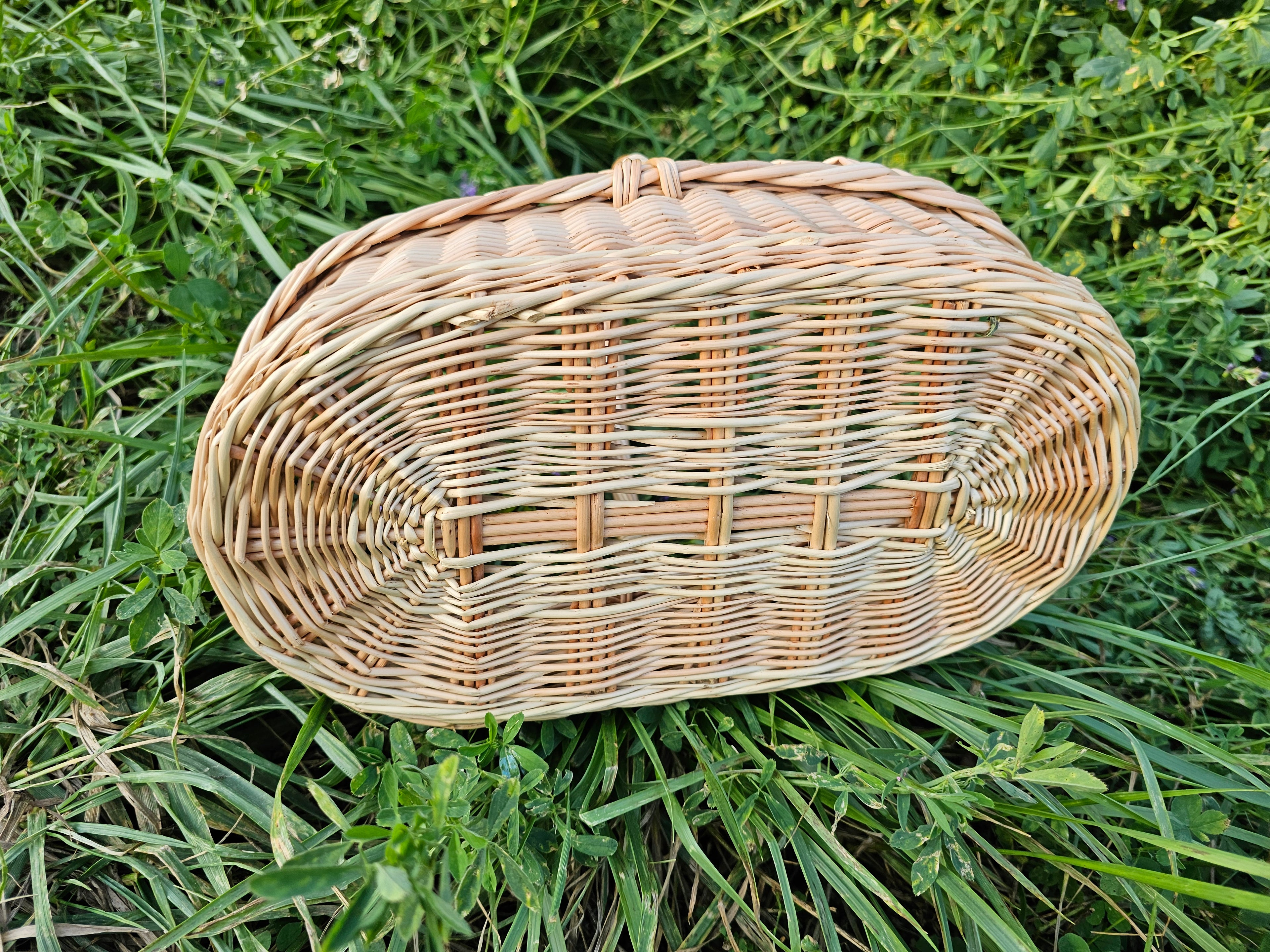 Pintinė 002r