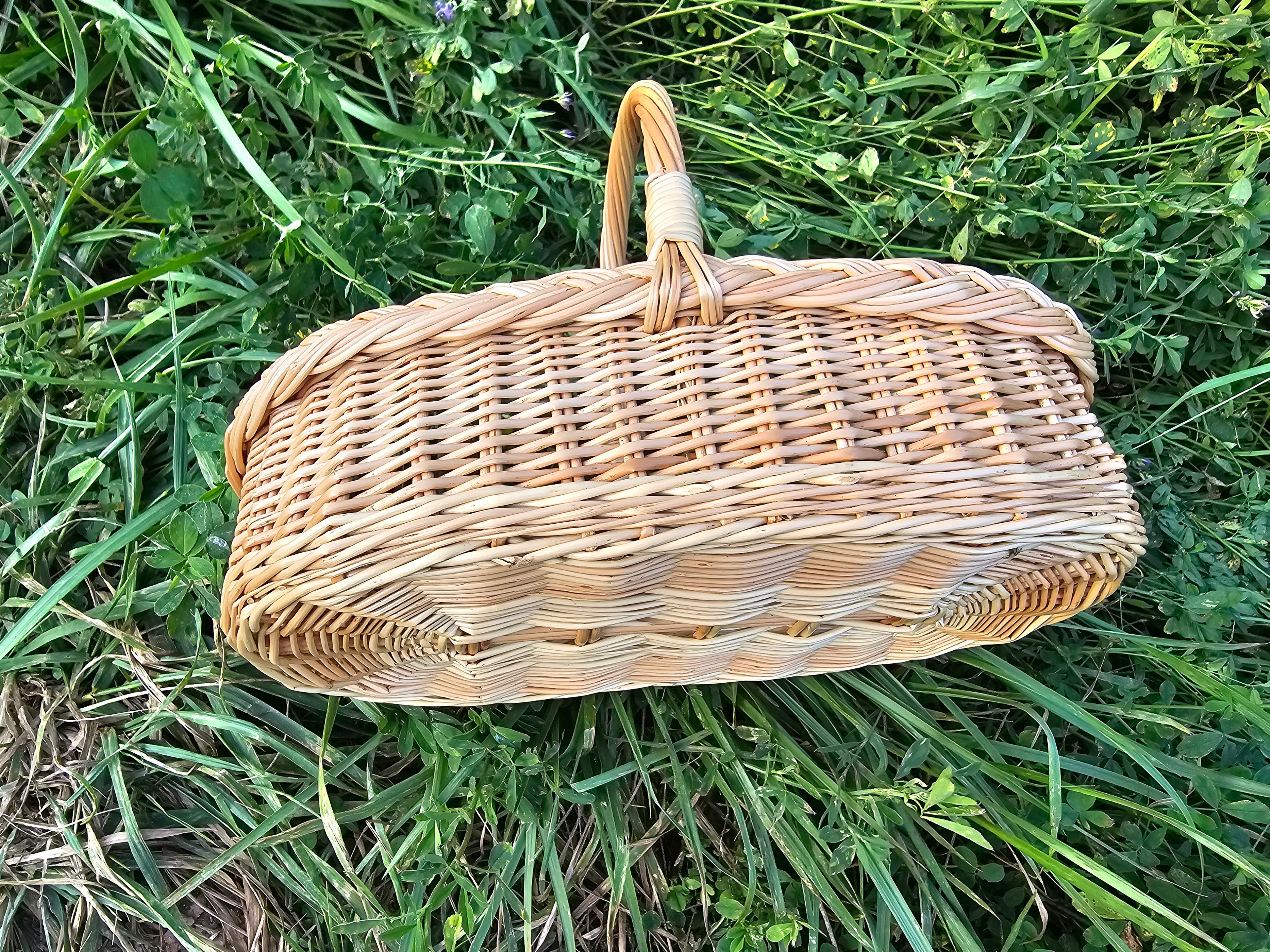 Pintinė 002r