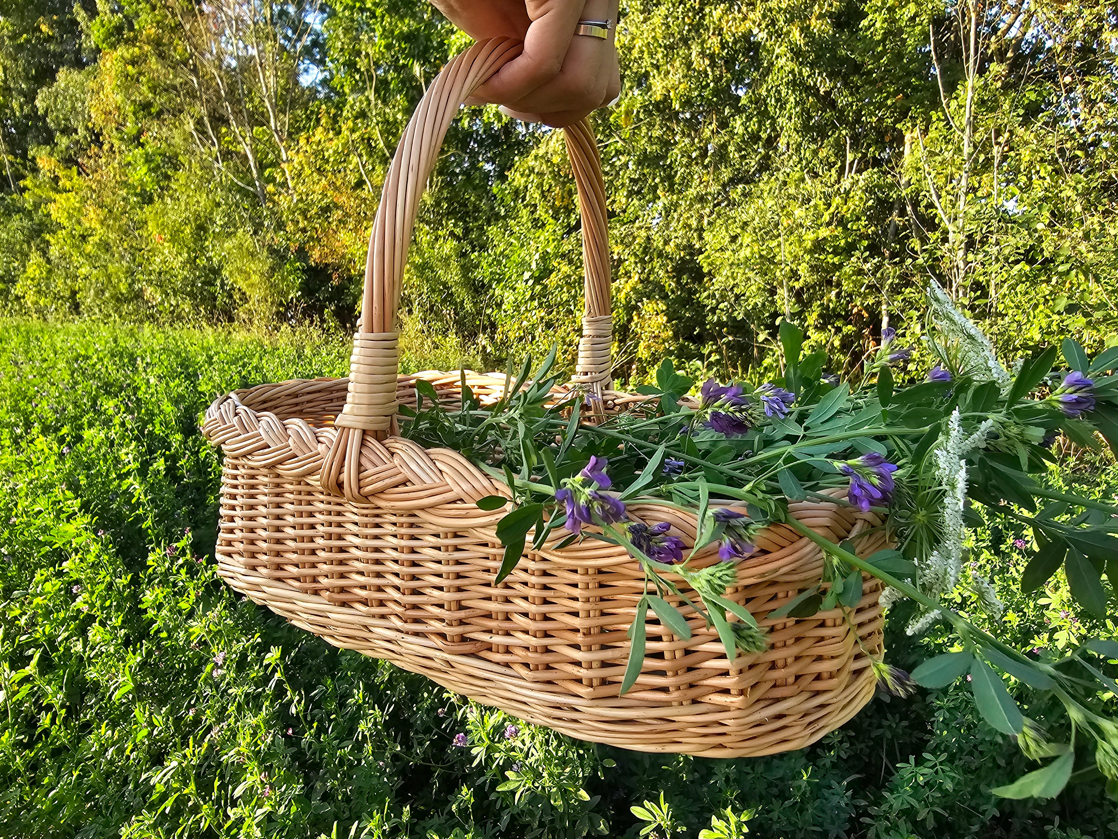 Pintinė 002r