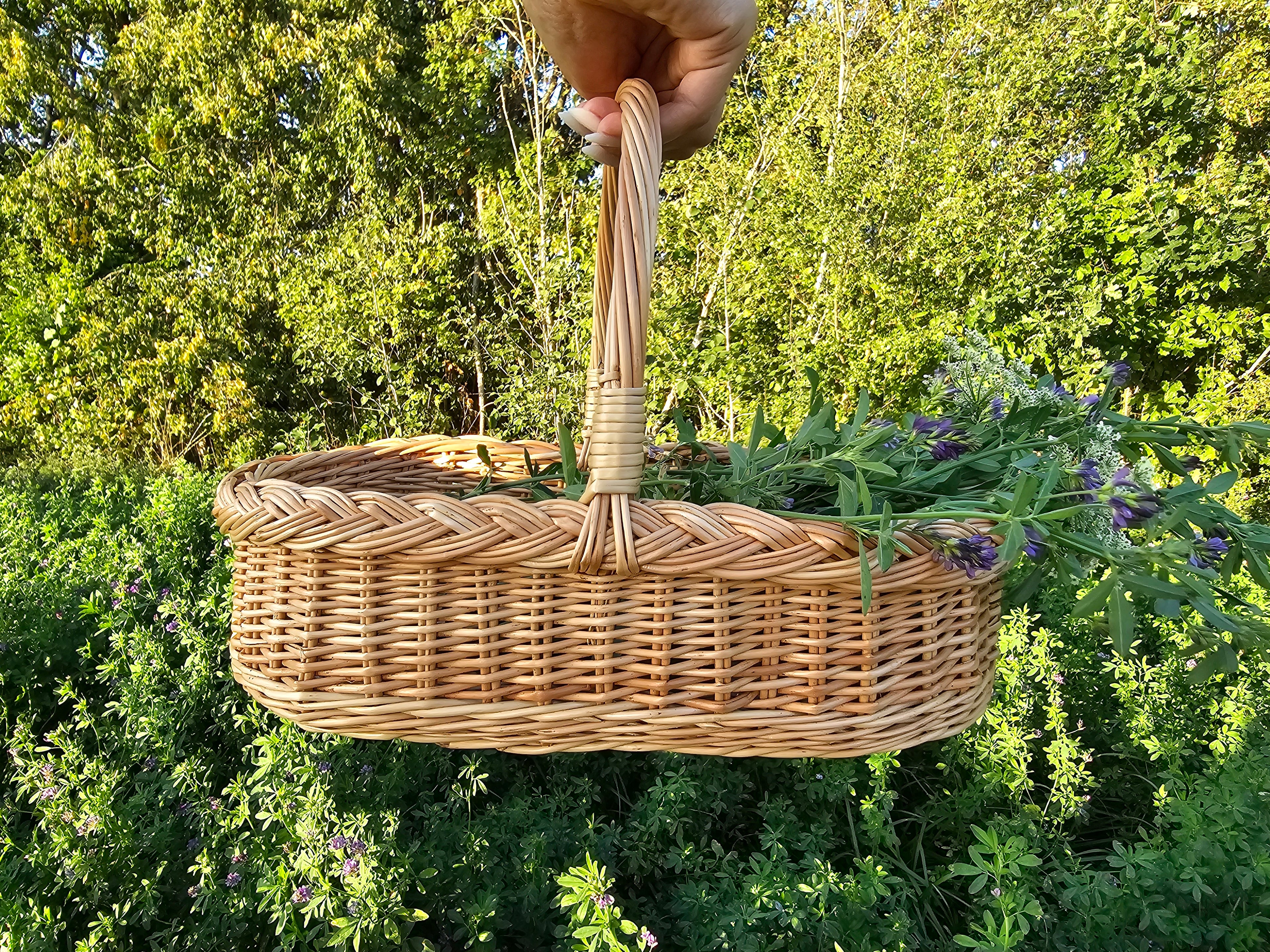 Pintinė 002r