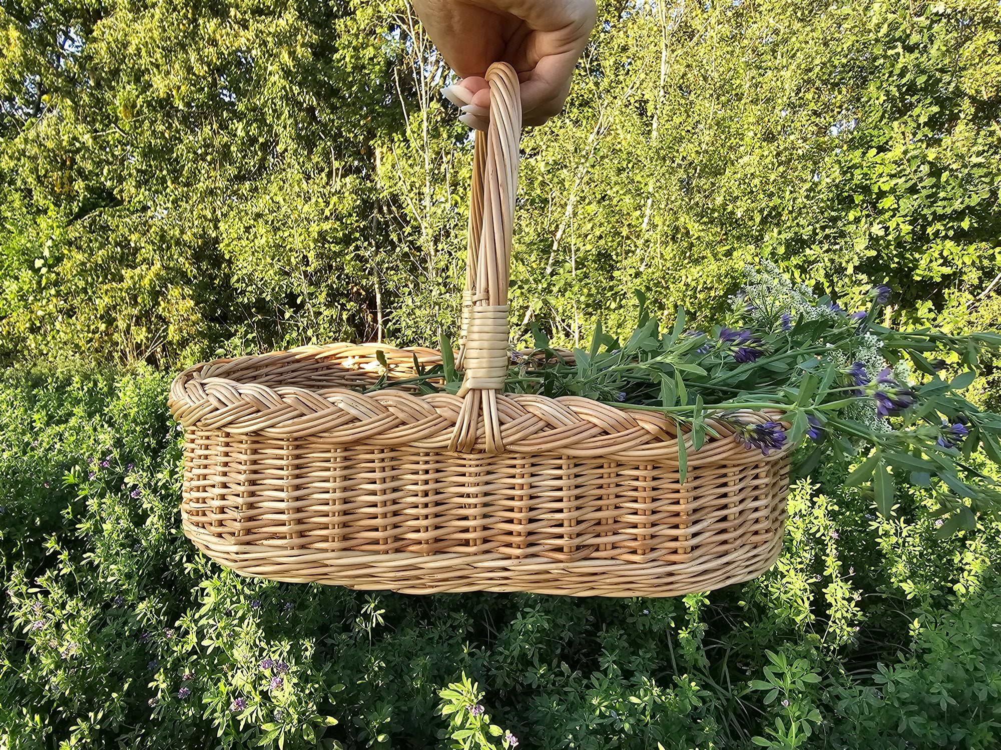 Sodo pintinė su rankena — dugno pynimas