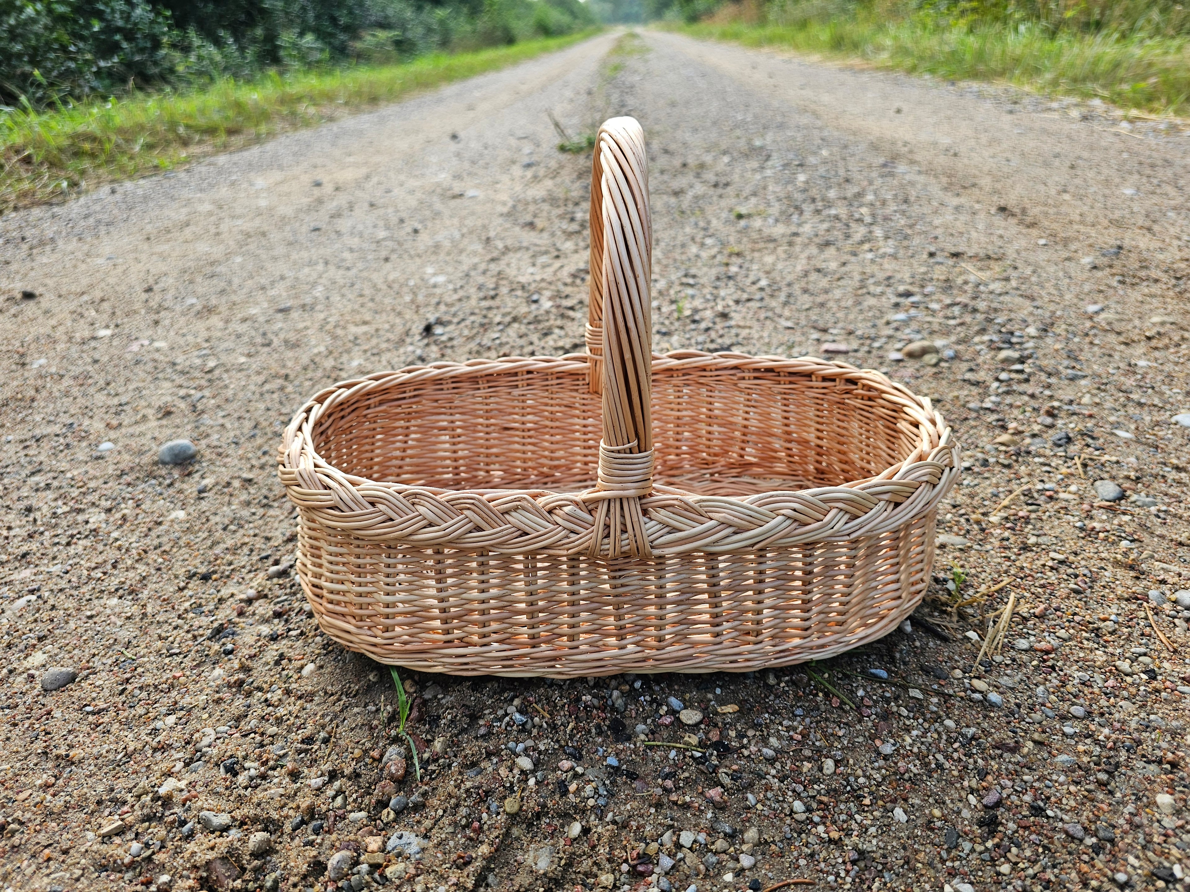 Sodo pintinė su rankena — kitas rakursas