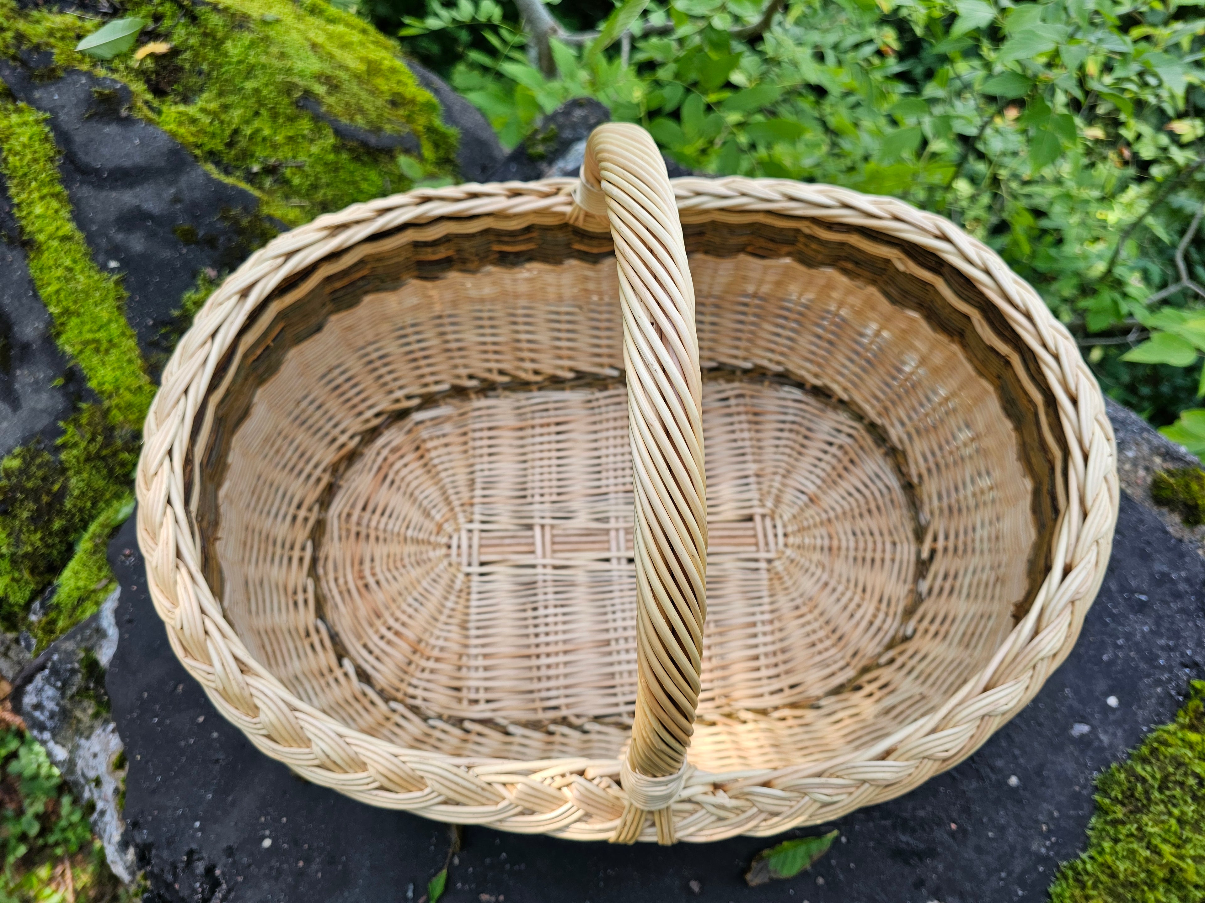 Pintinė grybavimui su aukšta rankena