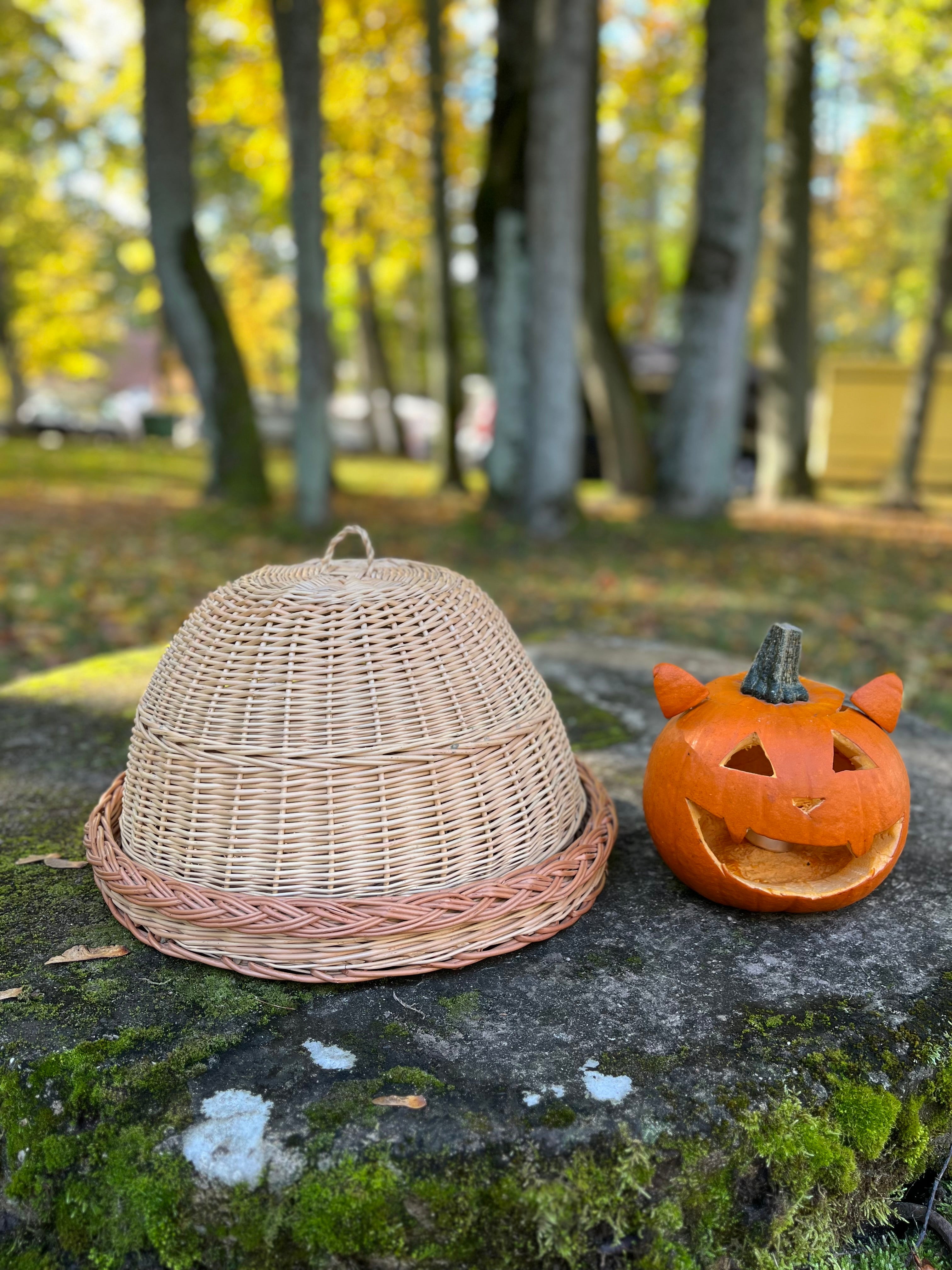 Rankų darbo pintas maisto dangtis su padėklu