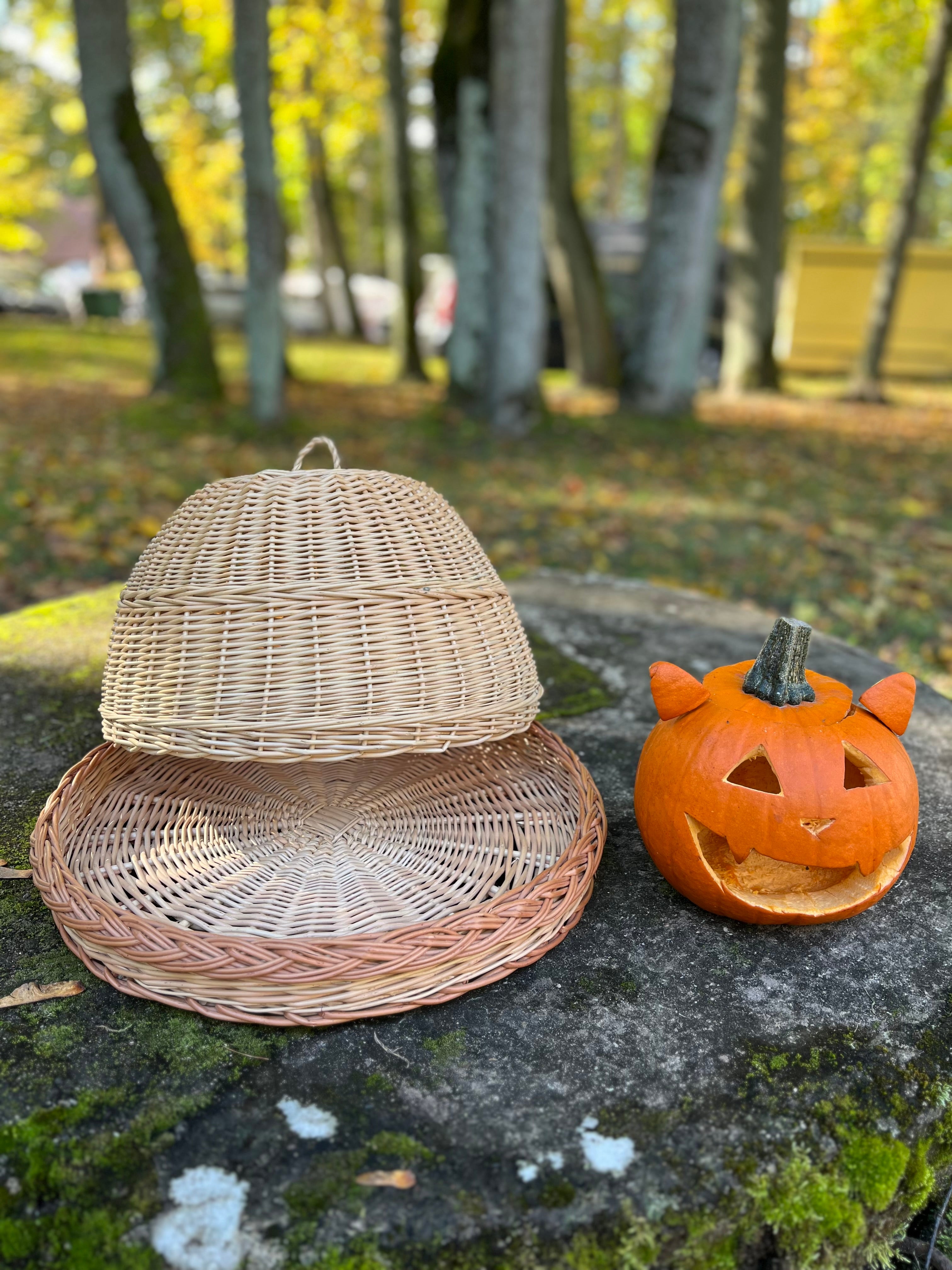 Rankų darbo pintas maisto dangtis su padėklu