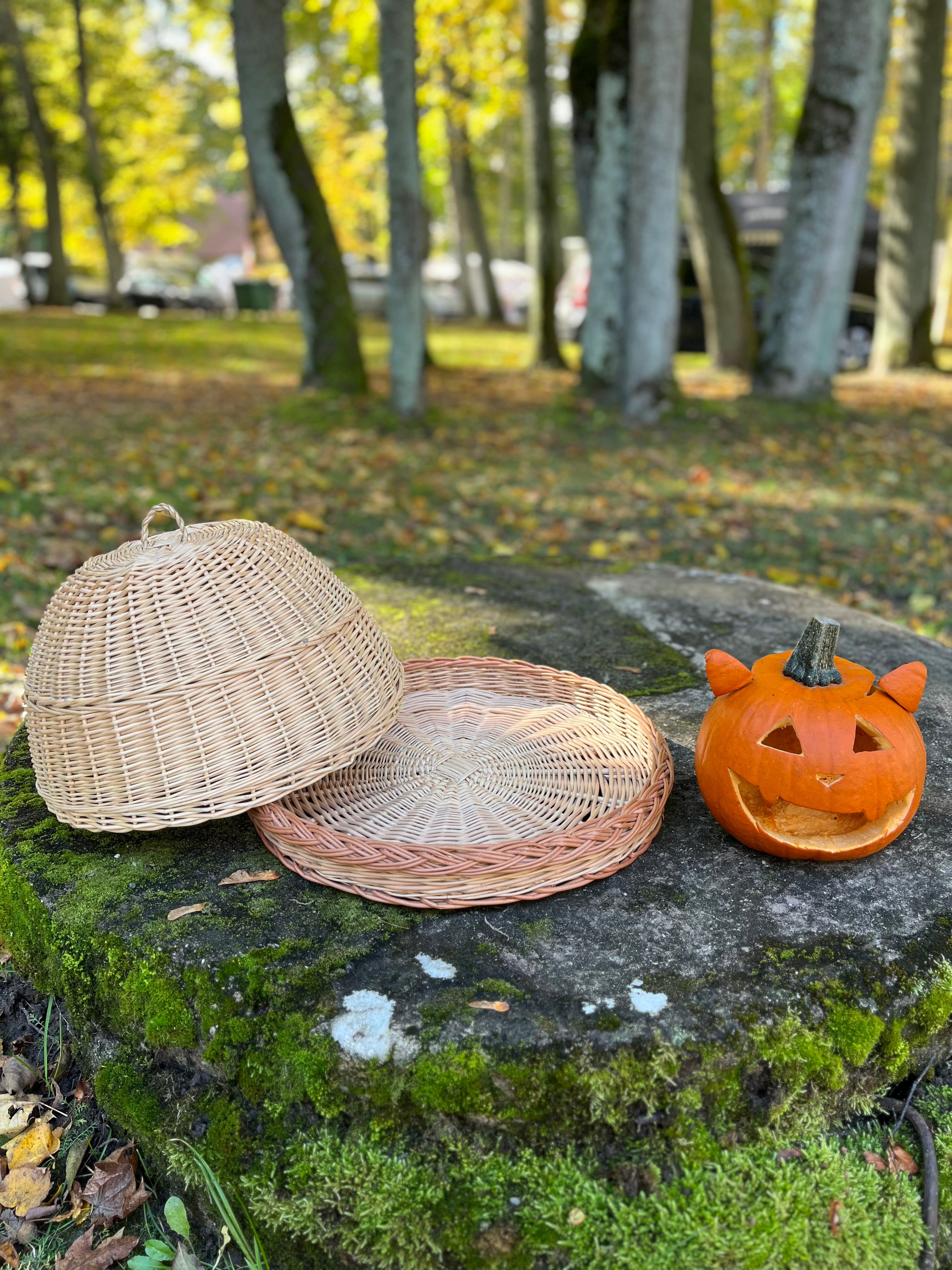Rankų darbo pintas maisto dangtis su padėklu