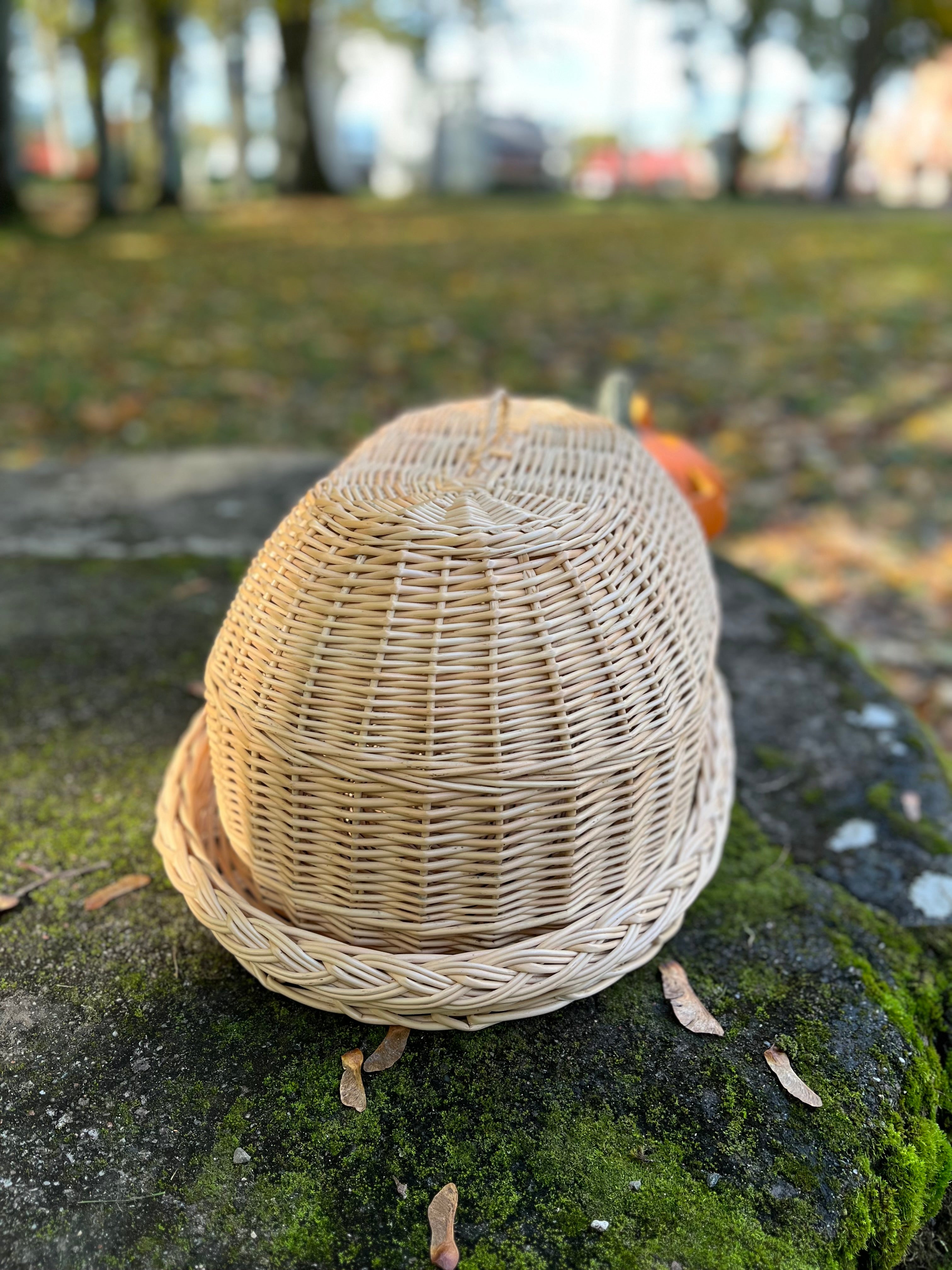 Rankomis austas pintas padėklas su kupoliniu dangteliu