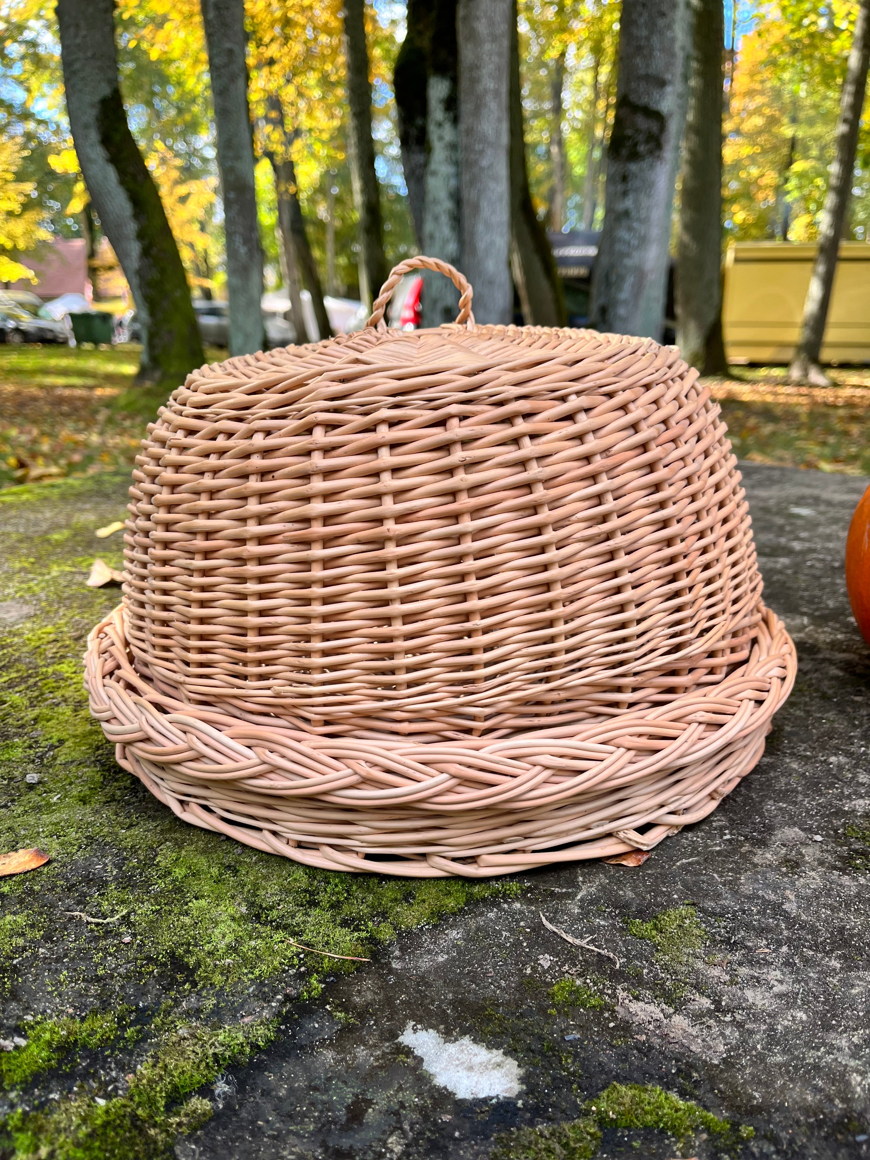 Kaimiško stiliaus virtuvės spintelė ir padėklas