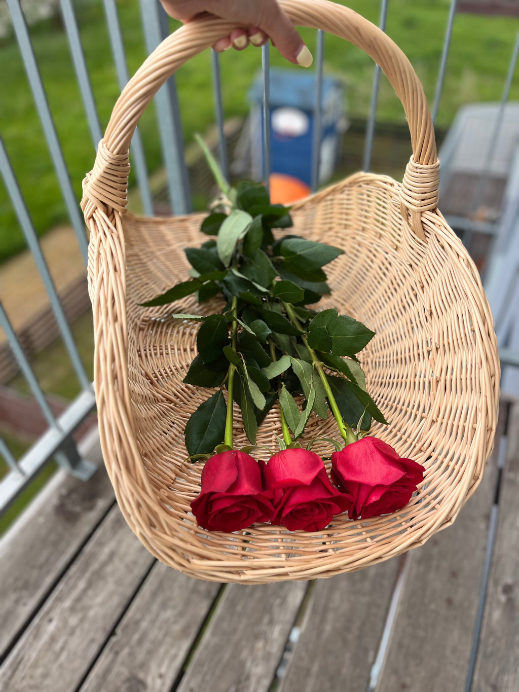 Gėlių pintinė 031b