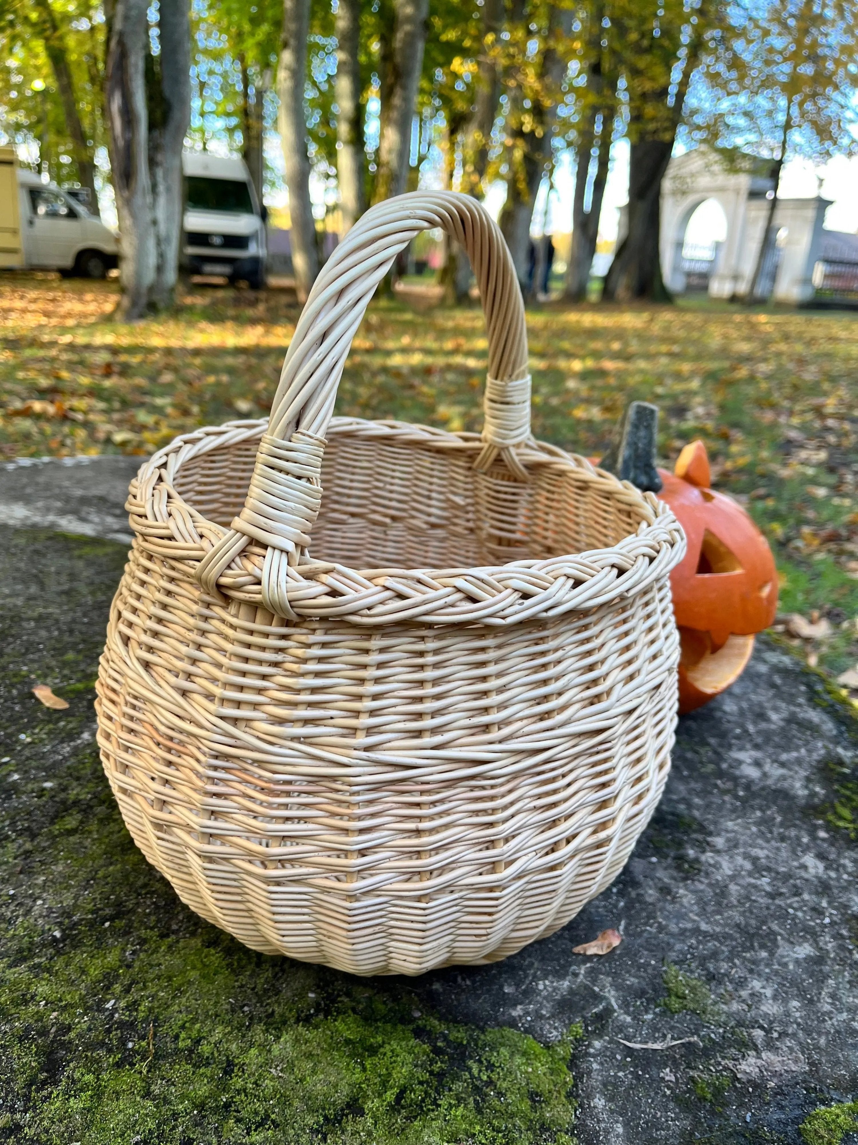 Artisan Wicker Basket – Handwoven Willow Rustic Storage Basket With Braided Handle - NaturelyWoven