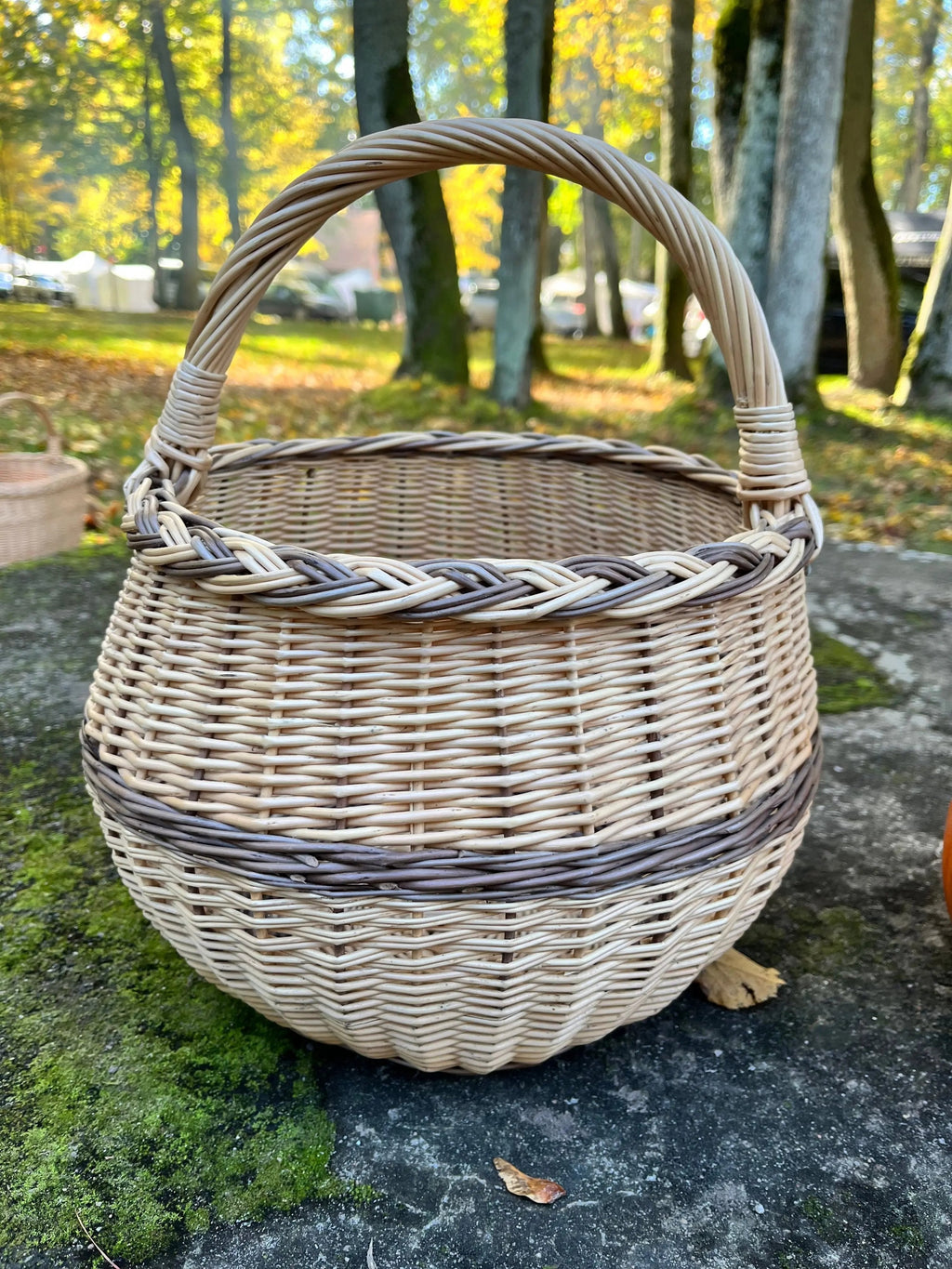 Artisan Wicker Basket – Handwoven Willow Rustic Storage Basket With Braided Handle - NaturelyWoven