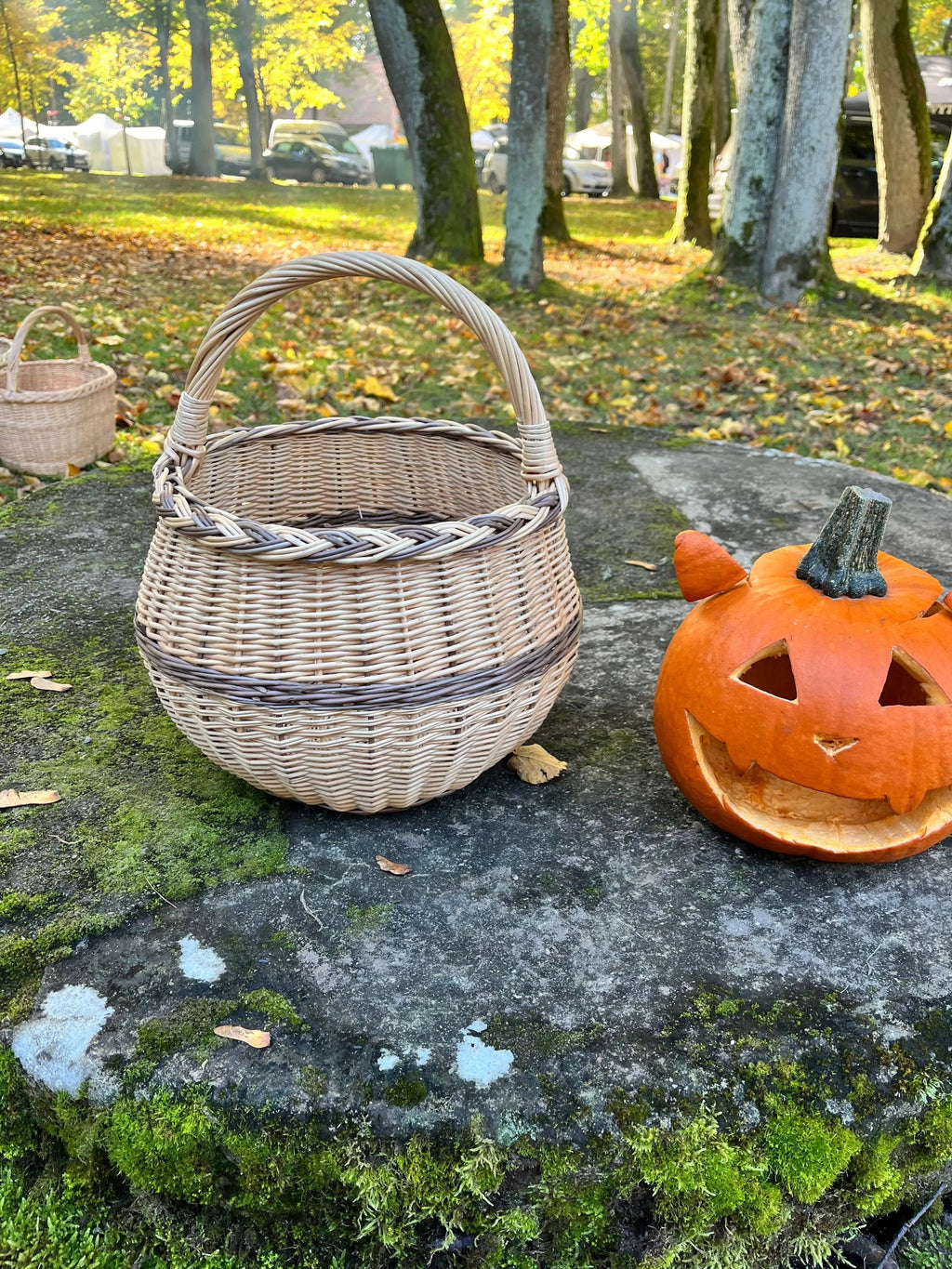 Artisan Wicker Basket – Handwoven Willow Rustic Storage Basket With Braided Handle - NaturelyWoven