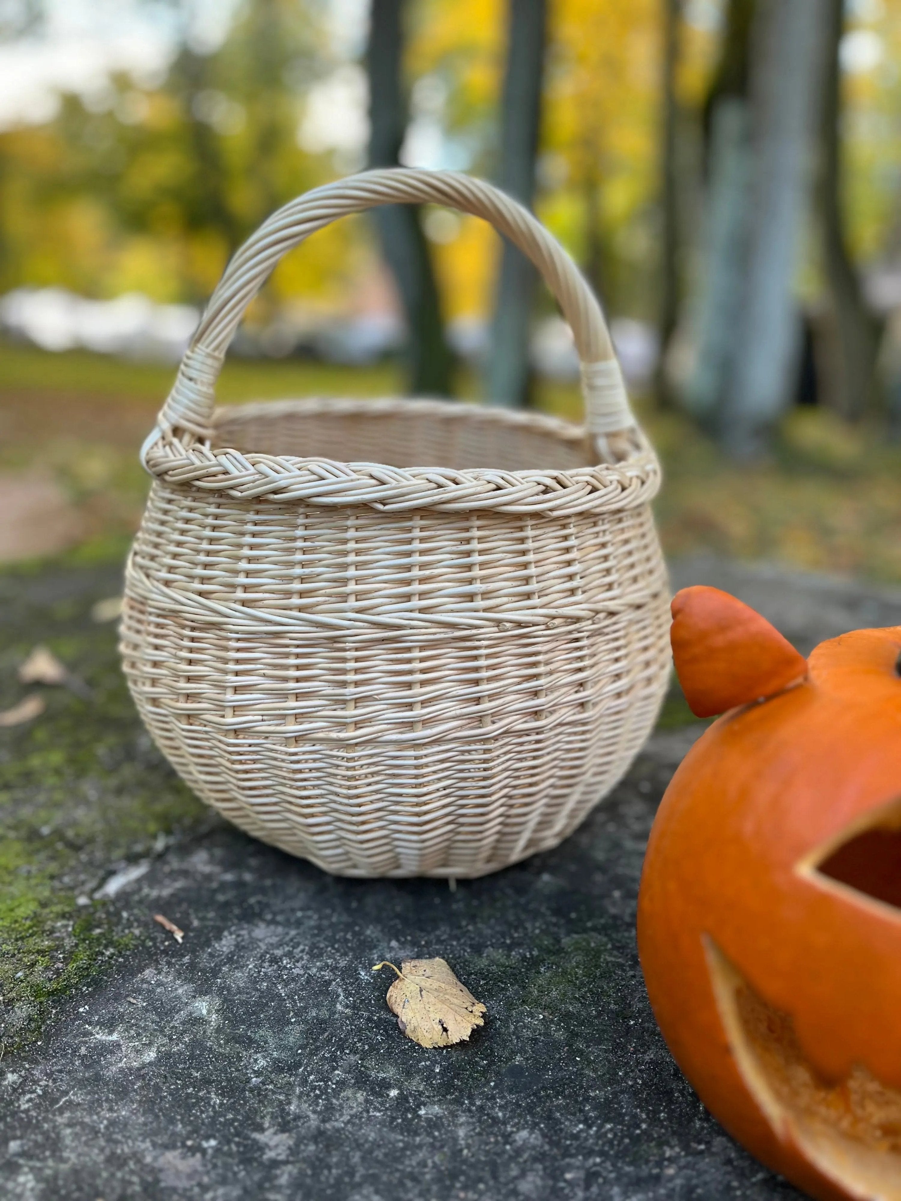 Artisan Wicker Basket – Handwoven Willow Rustic Storage Basket With Braided Handle - NaturelyWoven