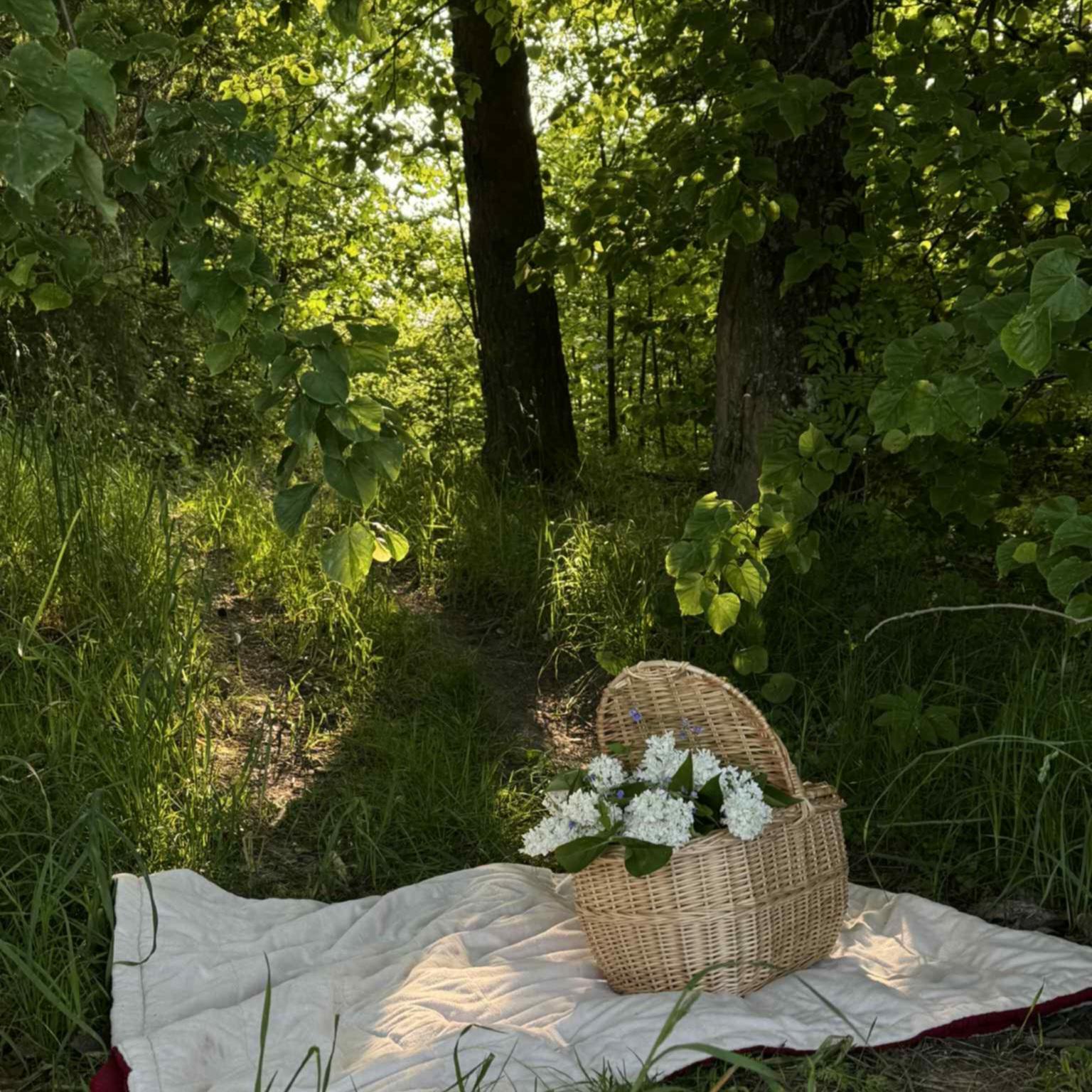 Didelis pinti pikniko krepšelis