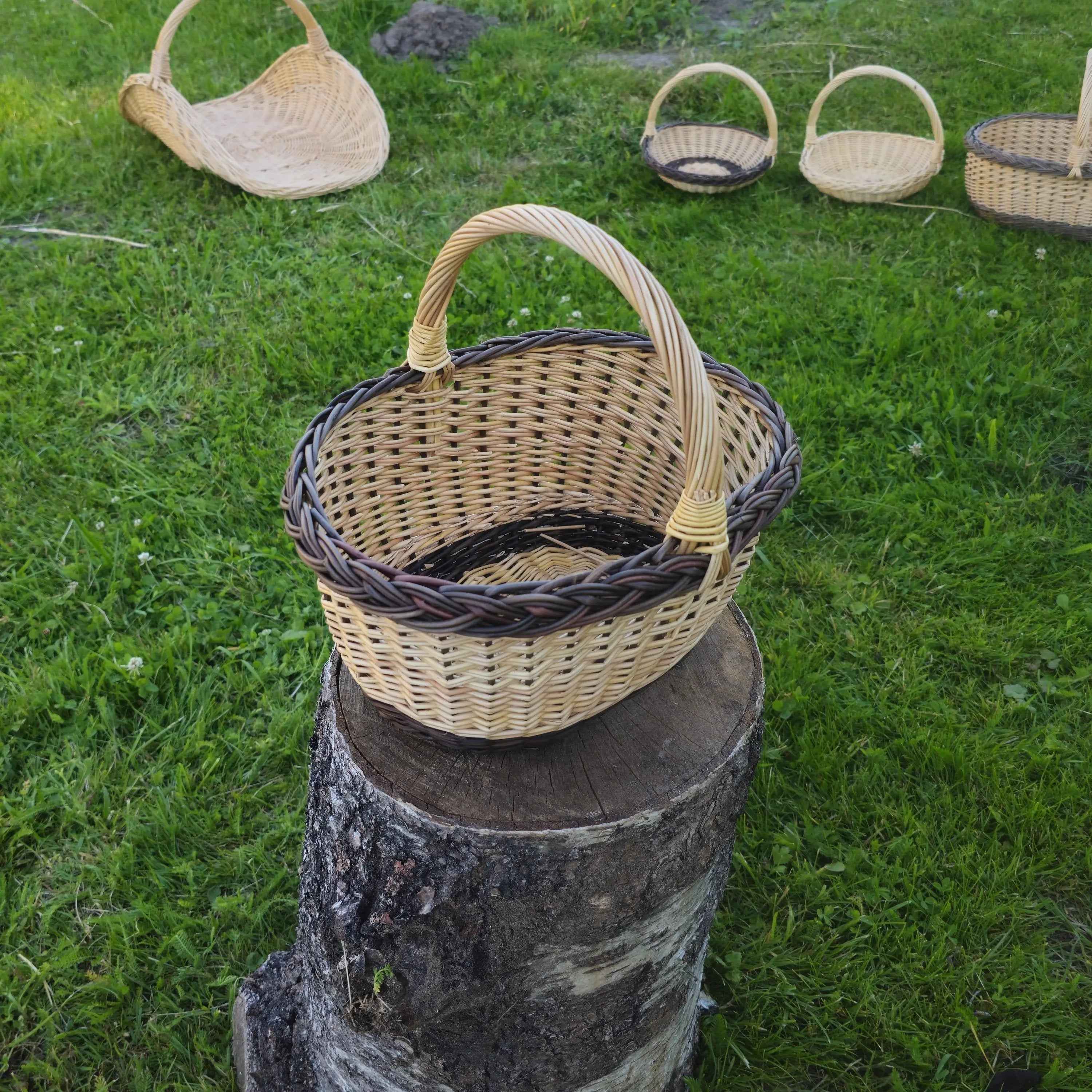 Grybautojo pintinė — vytelių pintinė, 6 nuotrauka
