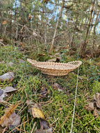 Padėklas — vytelių padėklas, 3 nuotrauka