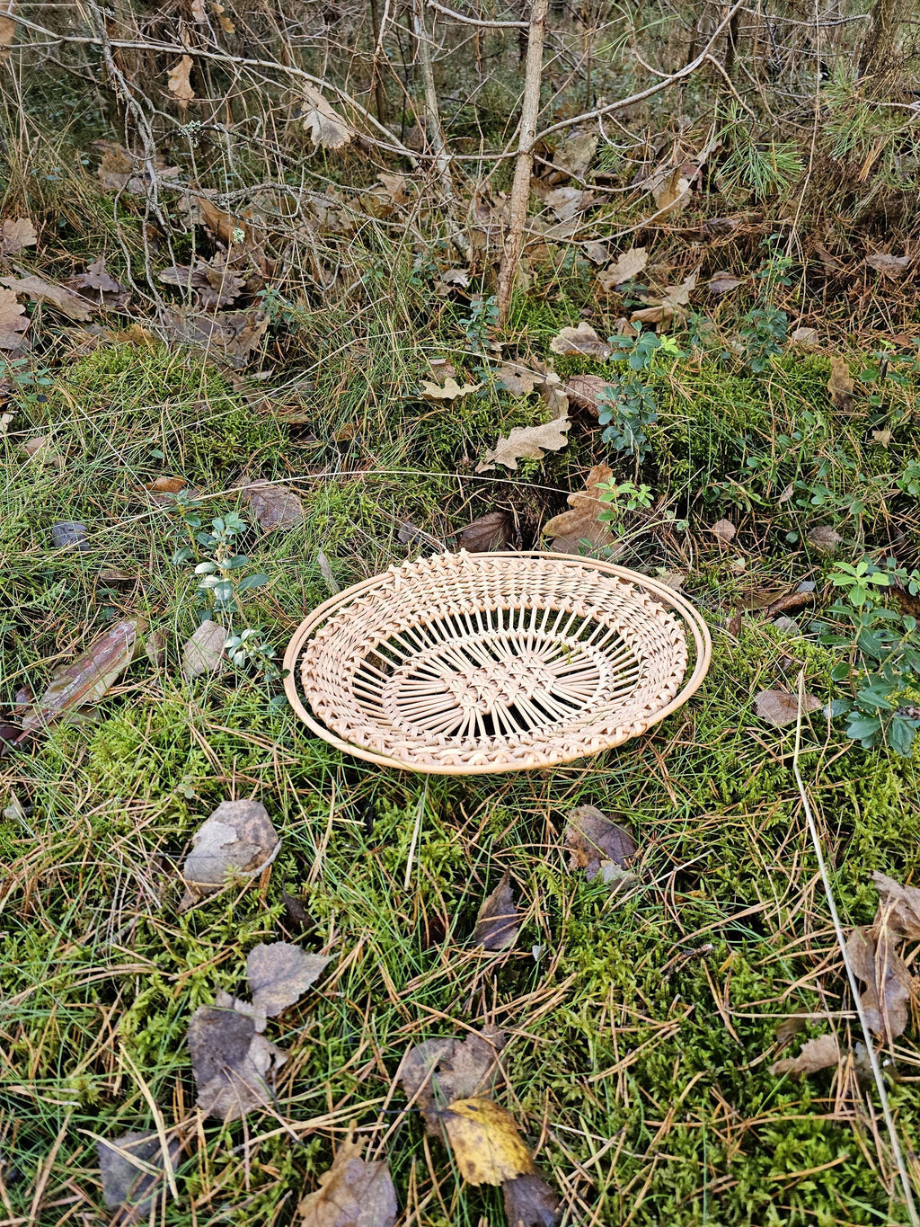 Padėklas — vytelių padėklas, 9 nuotrauka