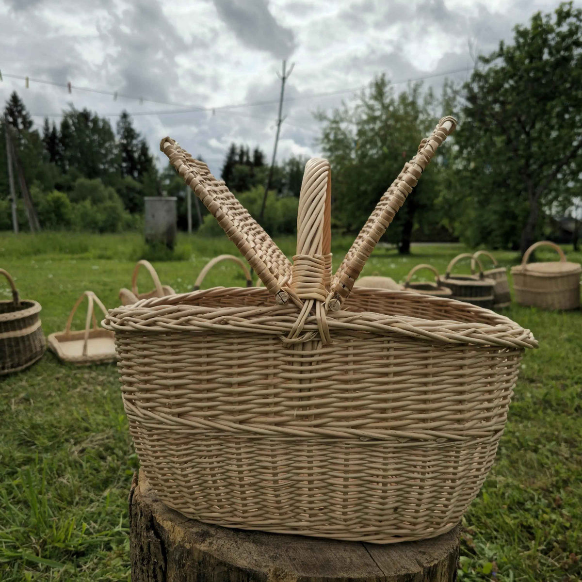 Pikniko pintinė su pinta rankena ir dviem dangčiais ant kelmo pievoje, už jos kitos pintinės