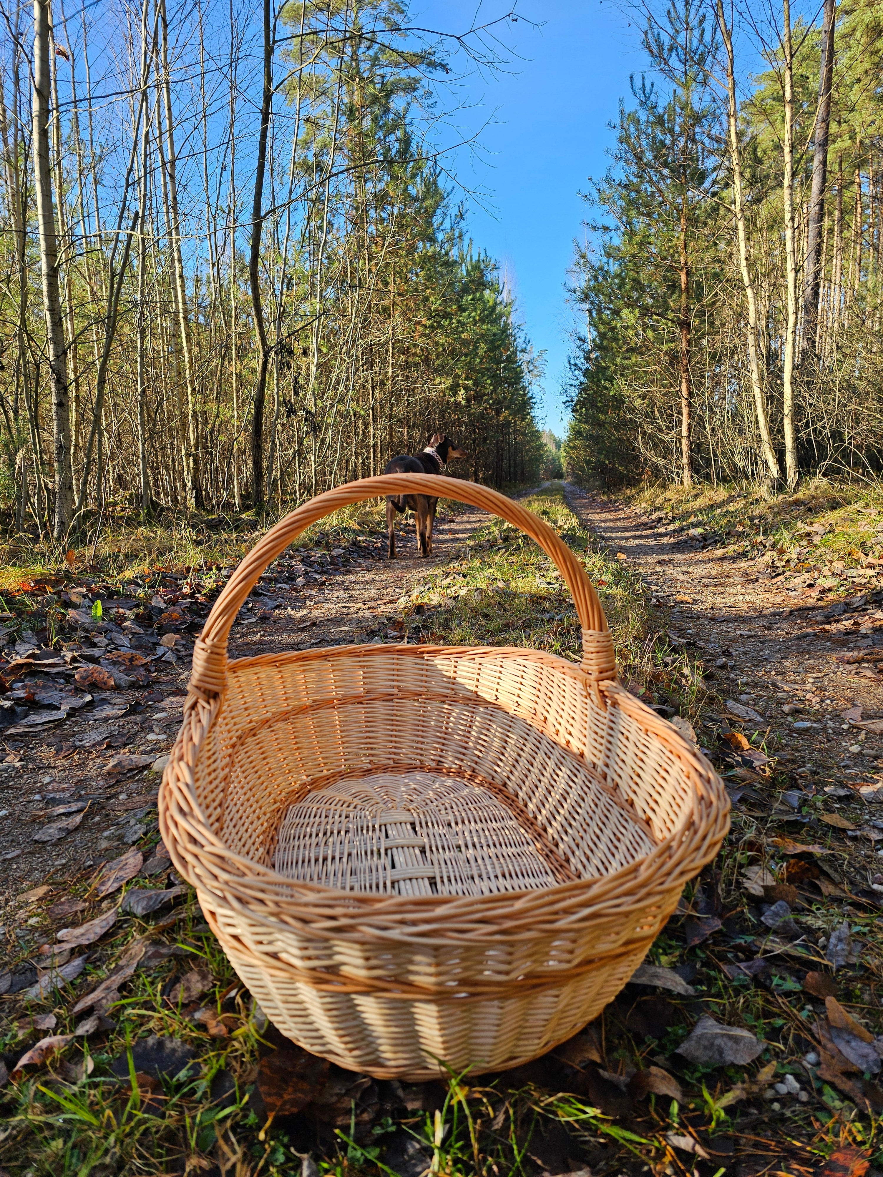 Extra large wicker basket 0004 - NaturelyWoven