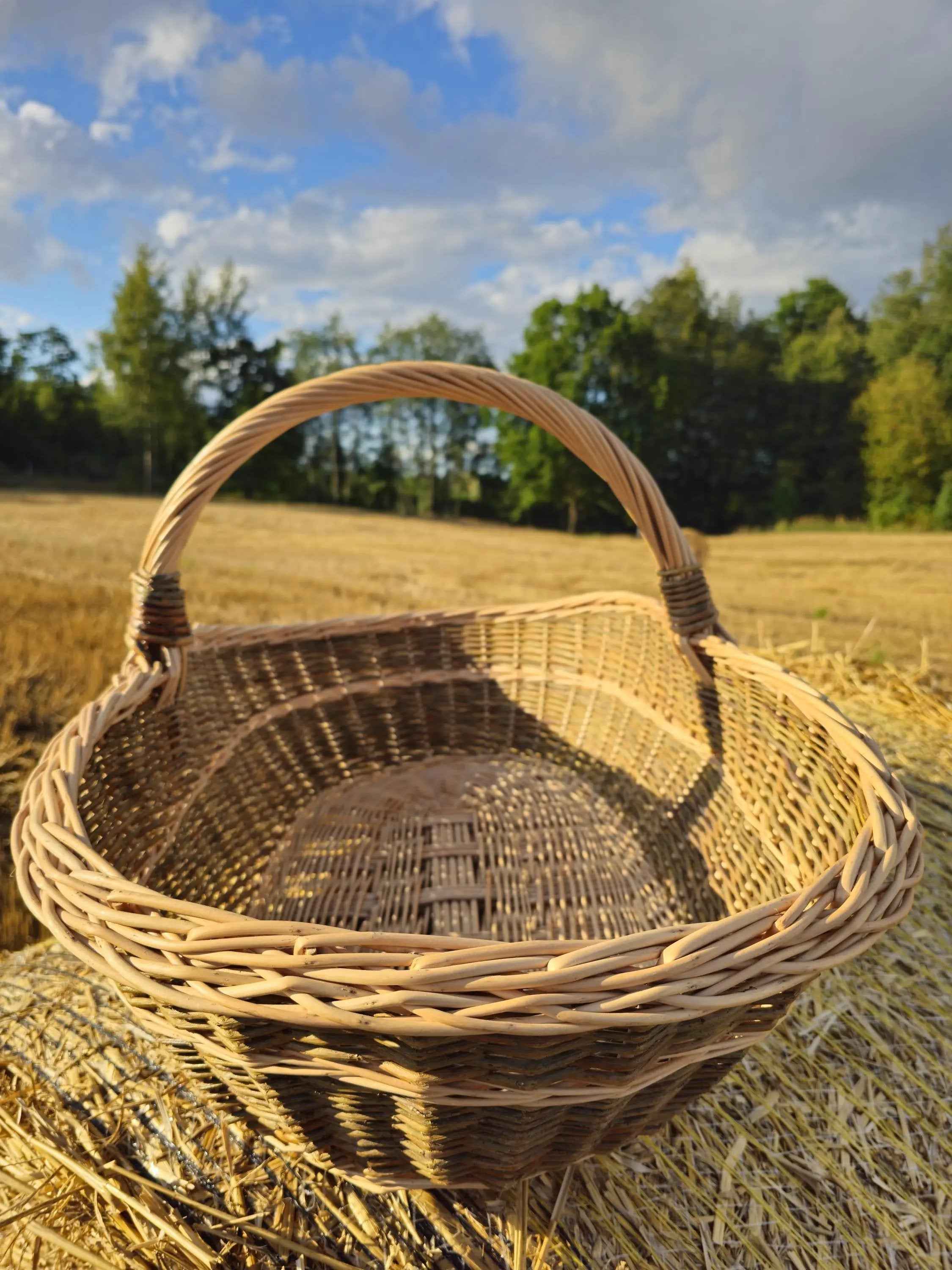 Ypač didelė malkų pintinė su aukšta rankena — vytelių pintinė, 6 nuotrauka