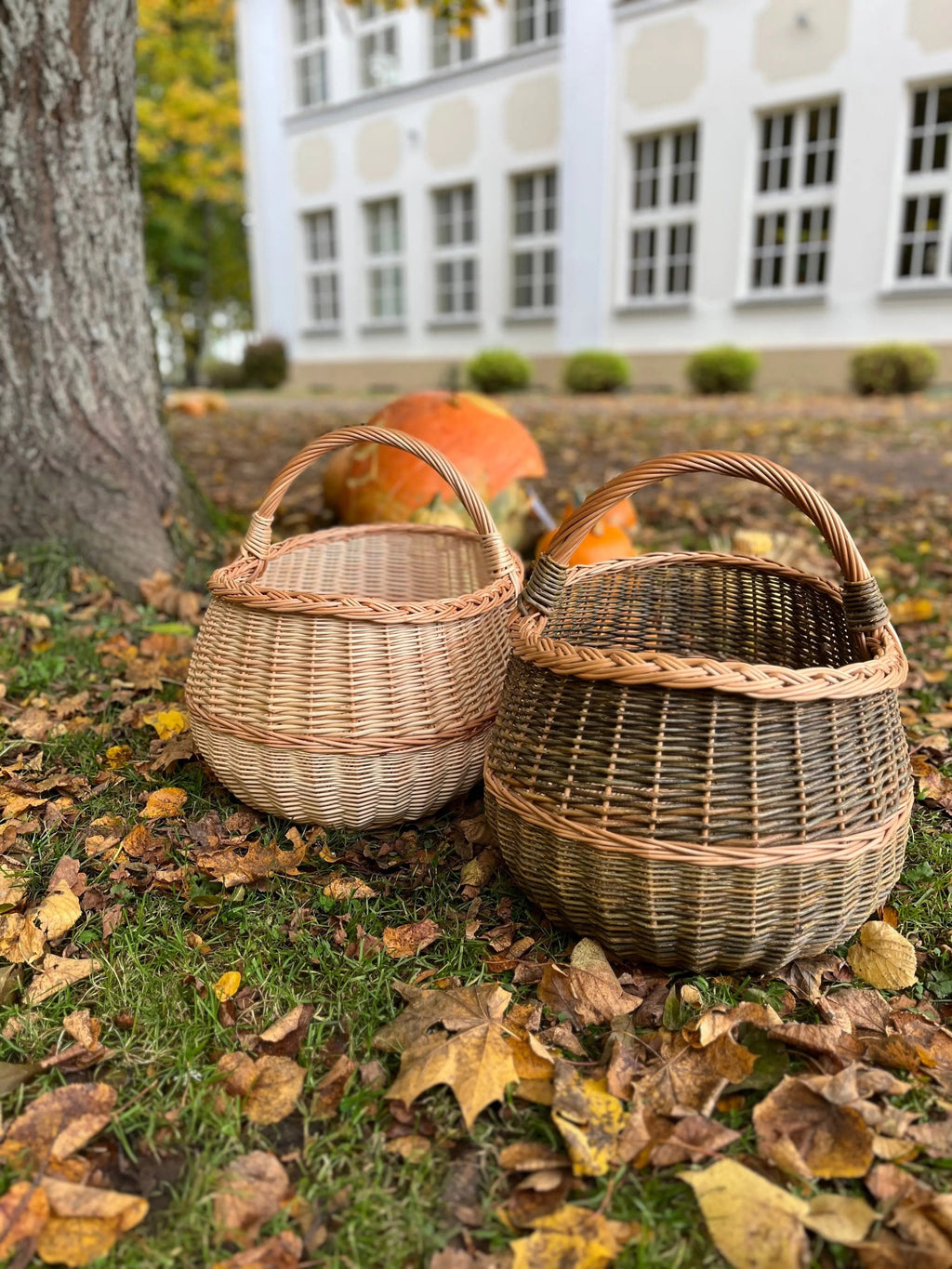 Extra Large Wicker Basket – Handwoven Oval Willow Storage Container - NaturelyWoven