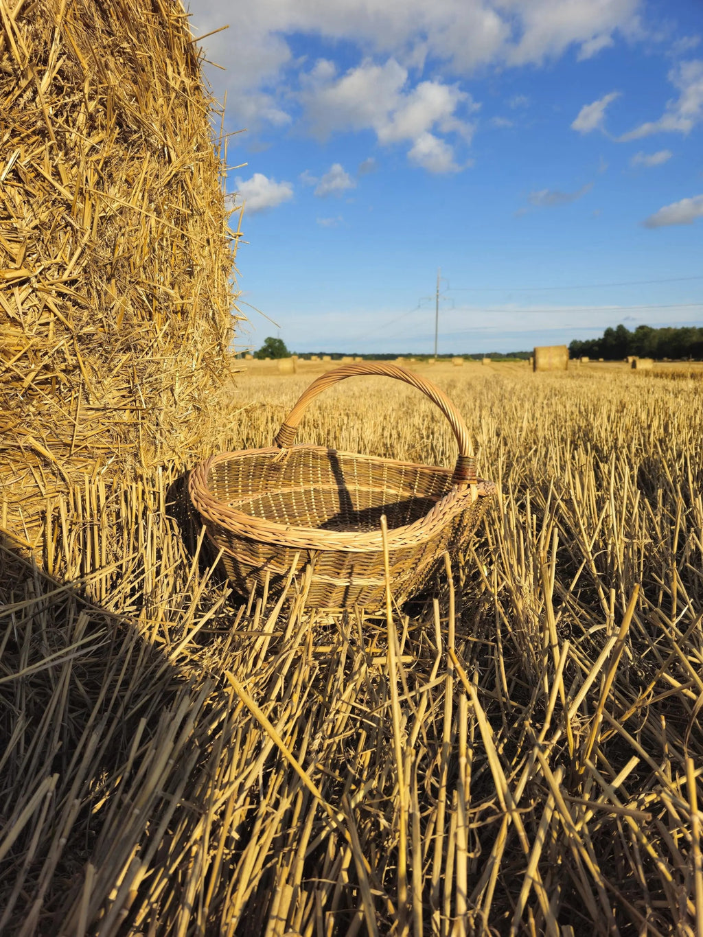 Extra Large Wicker Basket – Rustic Willow Basket With Sturdy Handle - NaturelyWoven