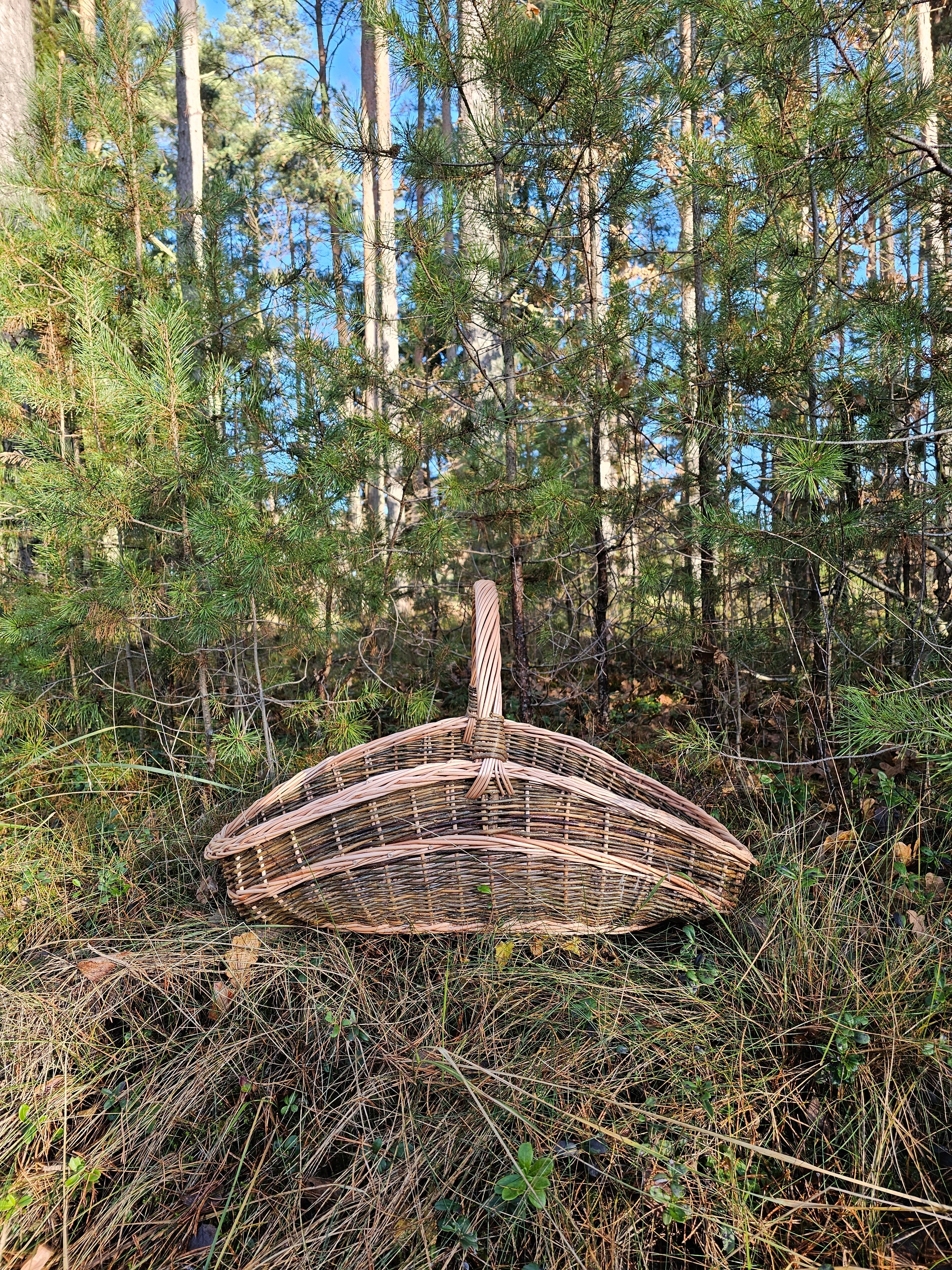 Extra-Large Willow Trug 0027 - NaturelyWoven