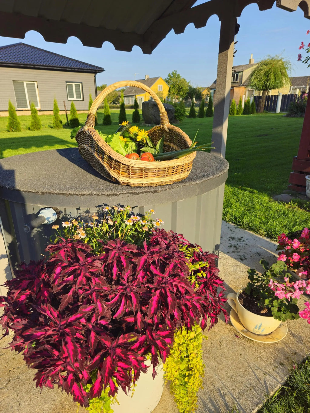 Extra - Large Willow Trug – Handwoven Two - Tone Rustic Harvest Basket - NaturelyWoven