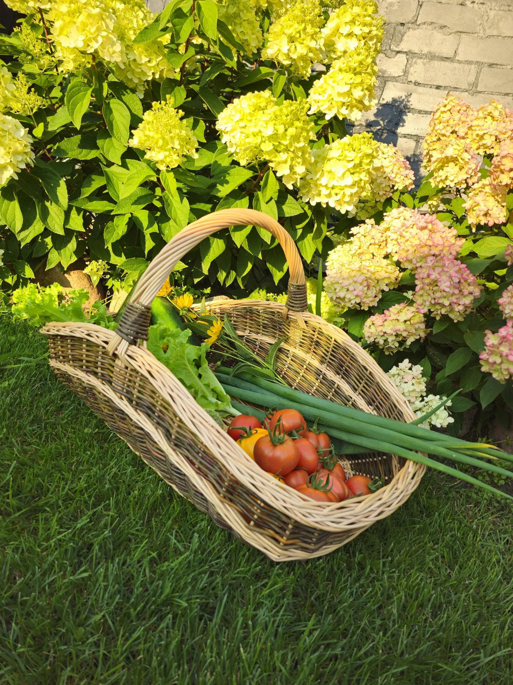 Extra - Large Willow Trug – Handwoven Two - Tone Rustic Harvest Basket - NaturelyWoven