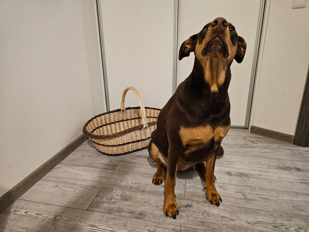 Ypač didelė auksinė malkų pintinė — vytelių pintinė, 5 nuotrauka