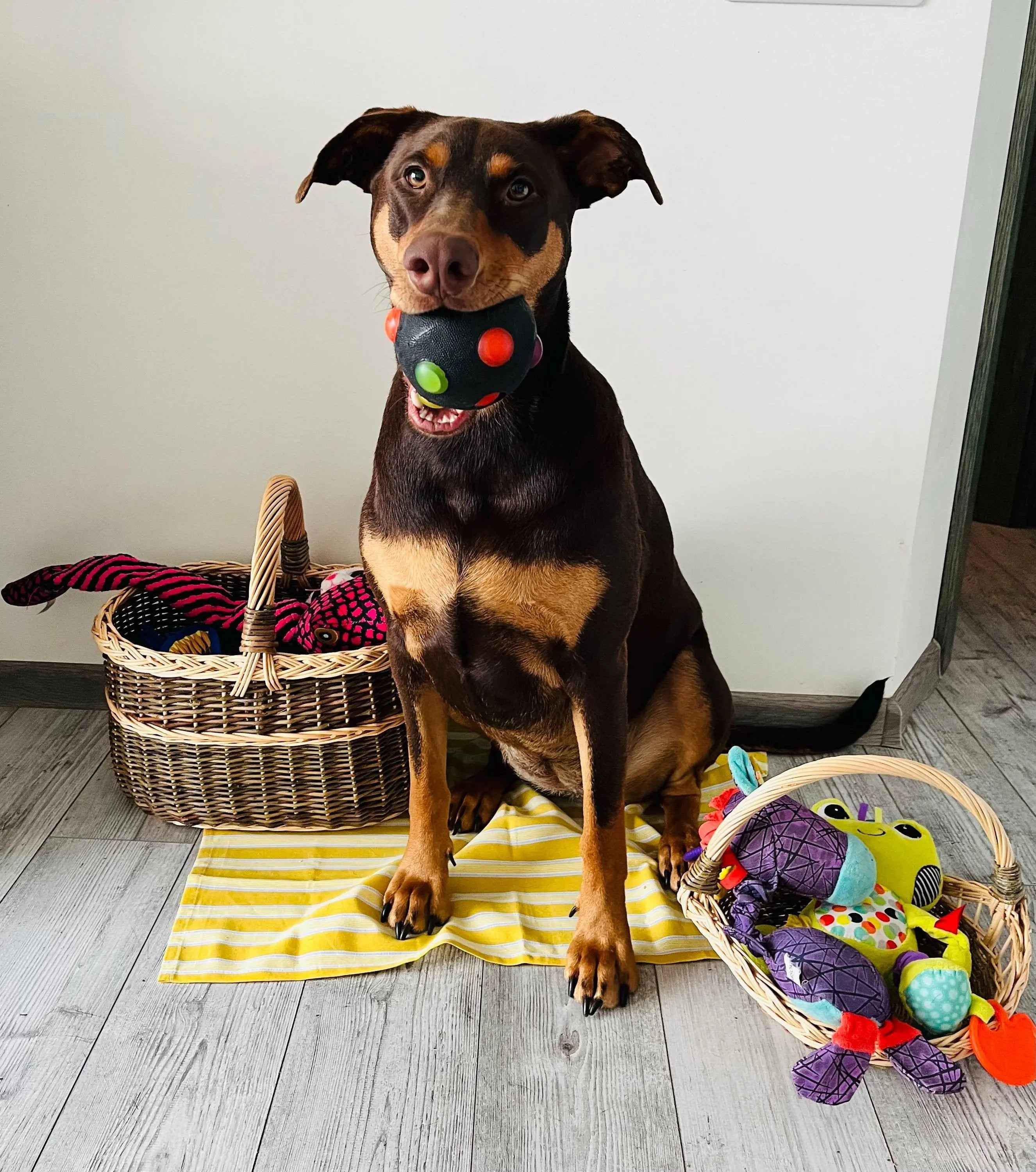 Wicker basket 009b - NaturelyWoven wicker - handmade