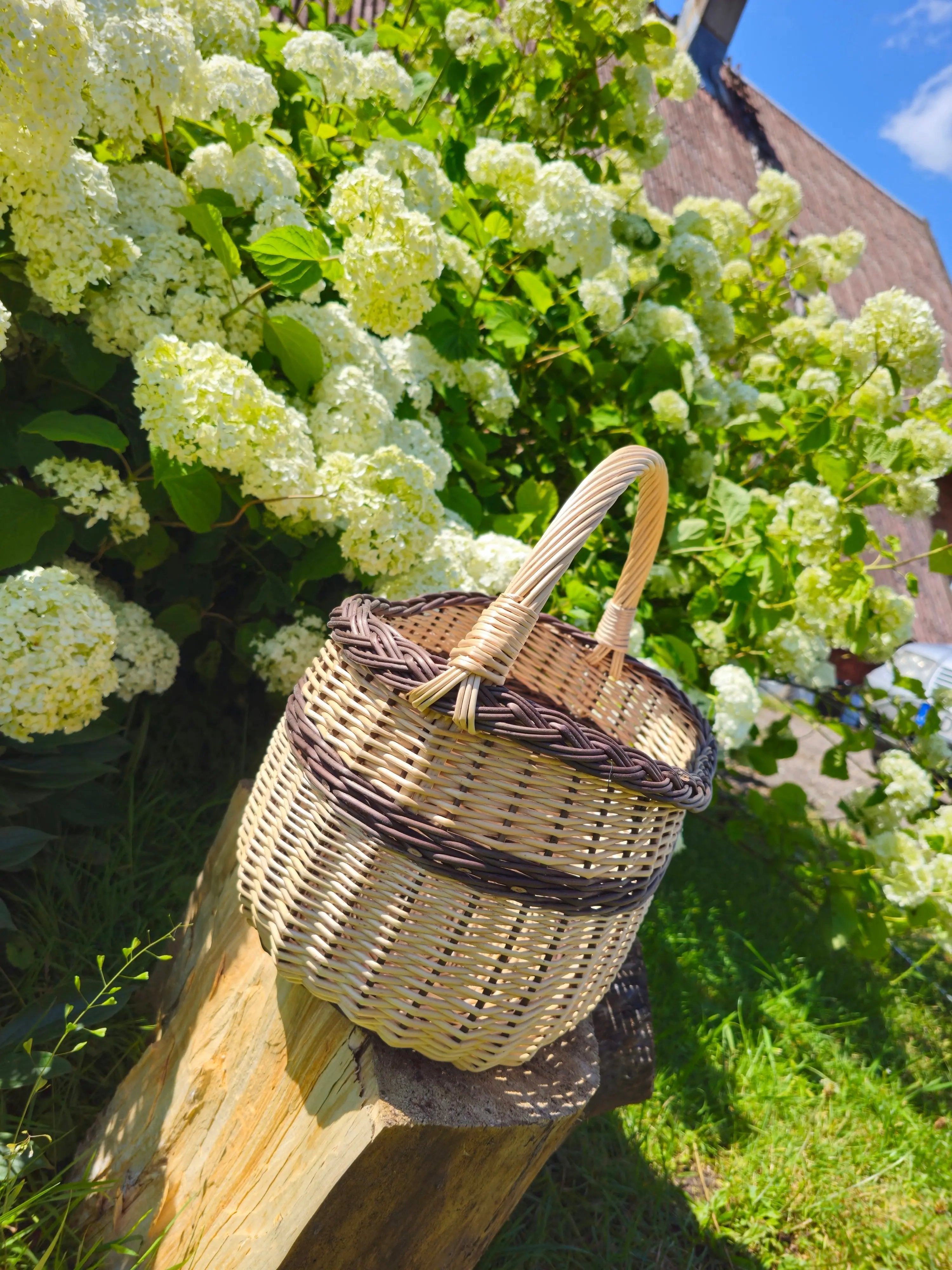 Rustic Natural Willow Foraging Basket - Handmade Wicker - NaturelyWoven