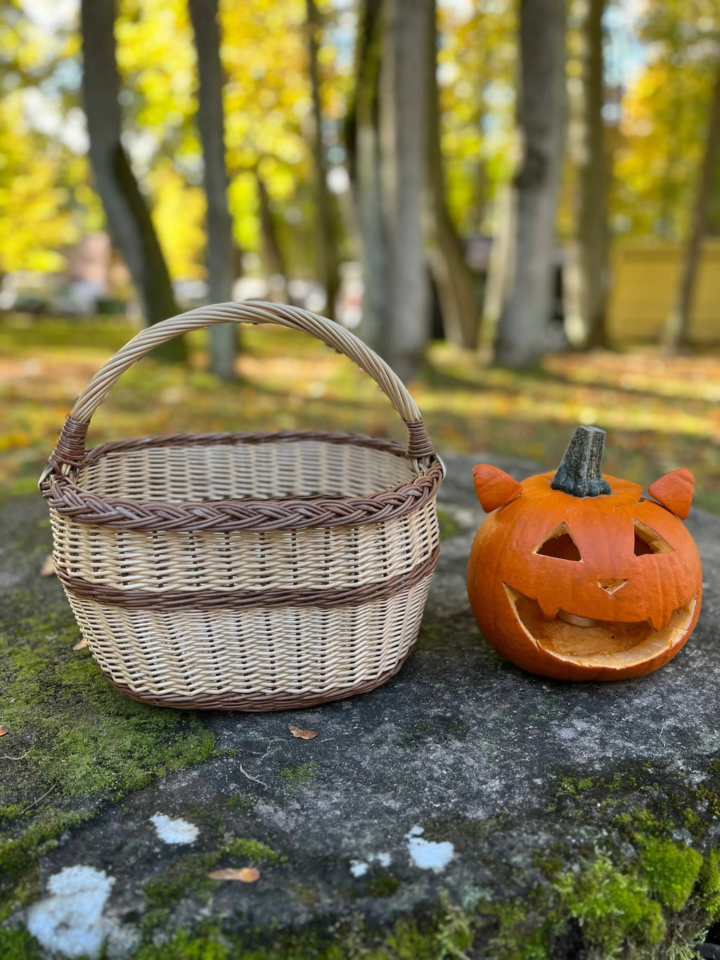 Handmade Wicker Basket - Rustic Oval Willow Basket for Picnic & Storage - NaturelyWoven