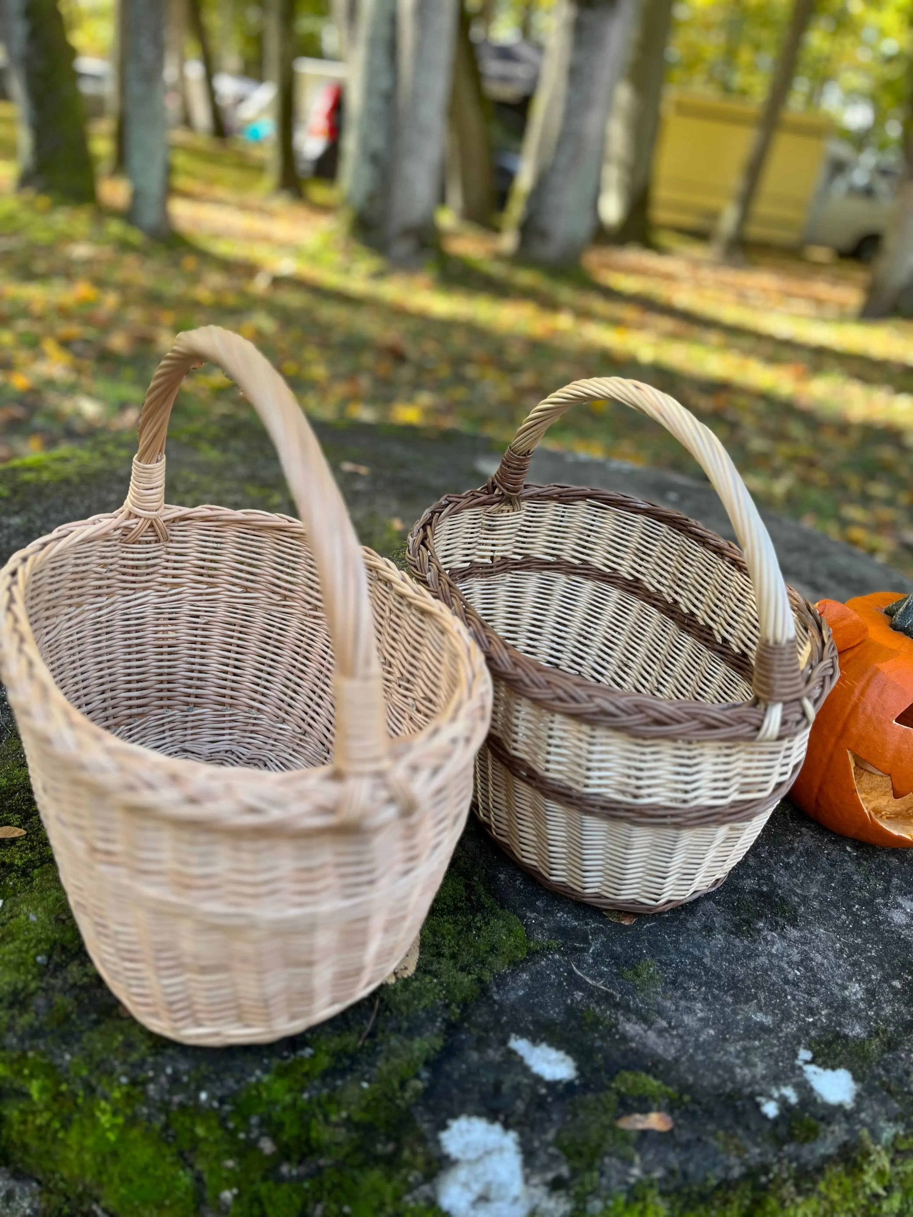 Handmade Wicker Basket - Rustic Oval Willow Basket for Picnic & Storage - NaturelyWoven