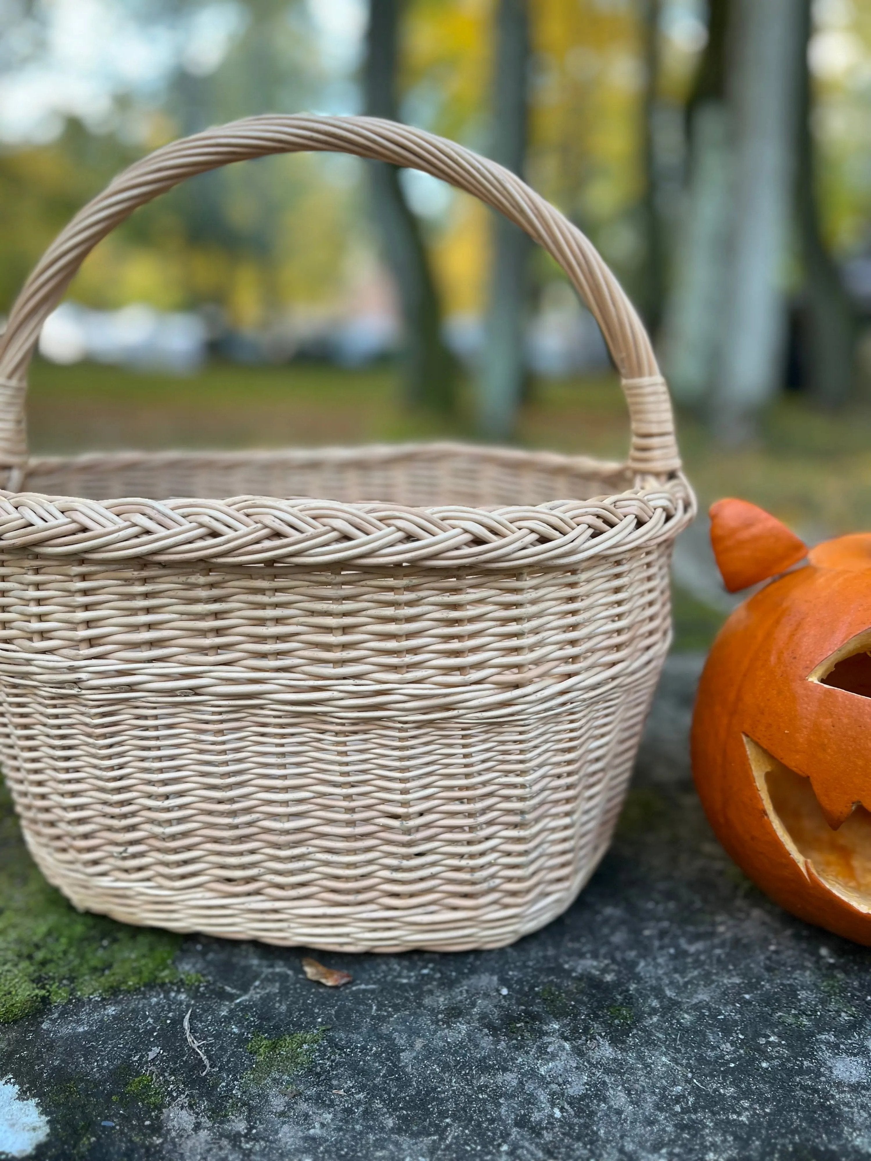 Handmade Wicker Basket - Rustic Oval Willow Basket for Picnic & Storage - NaturelyWoven
