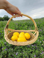 Wicker tray 024b - NaturelyWoven wicker - handmade