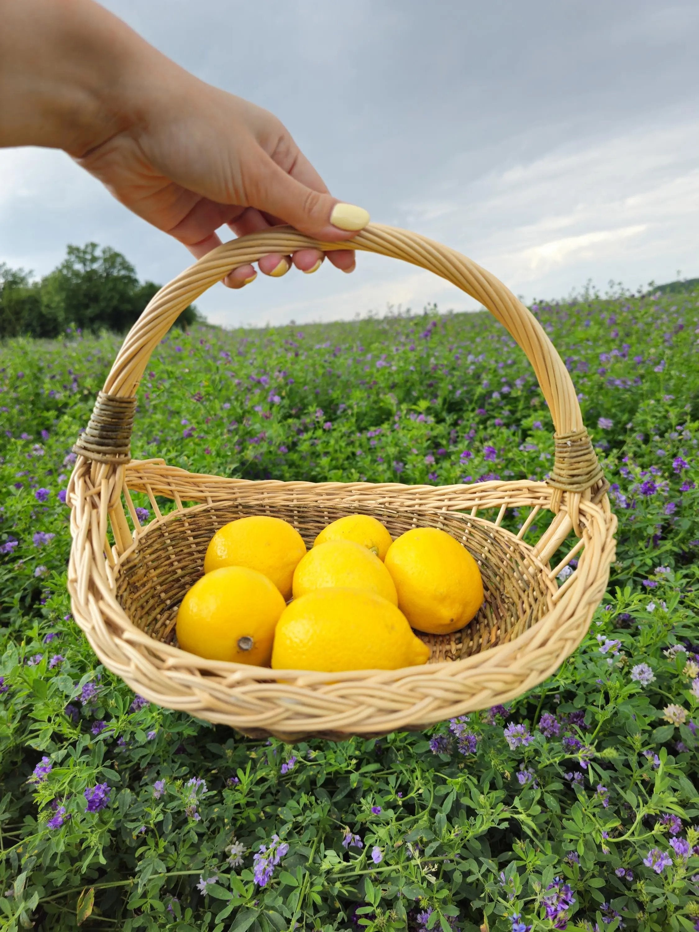 Handmade Wicker Basket – Rustic Willow Trug for Bread Serving & Garden Gathering - NaturelyWoven