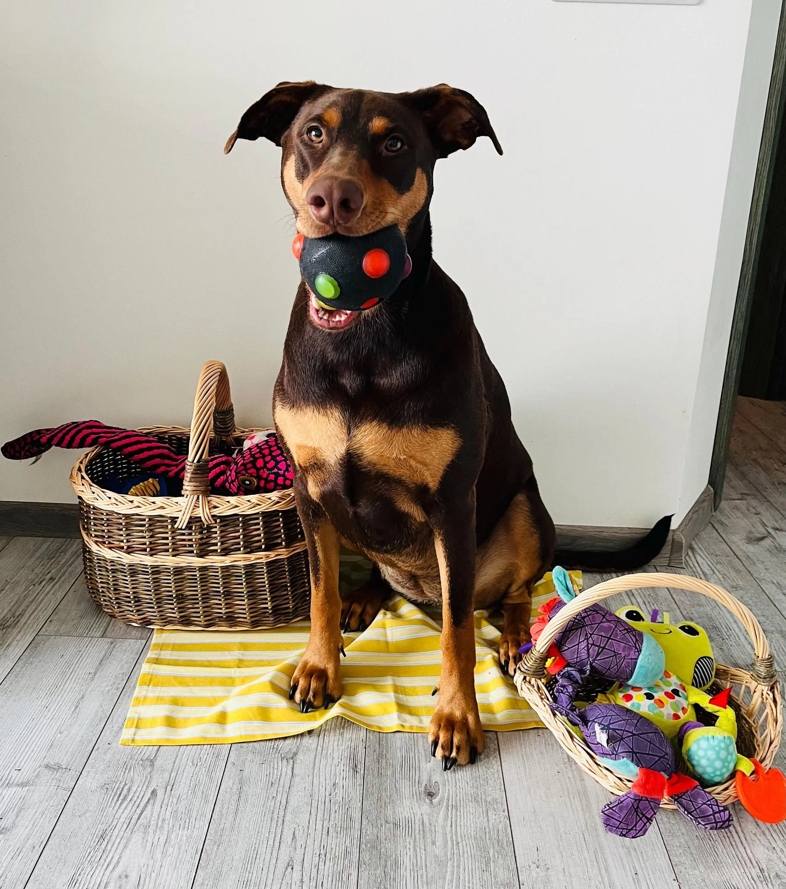 Handmade Wicker Basket – Rustic Willow Trug for Bread Serving & Garden Gathering - NaturelyWoven