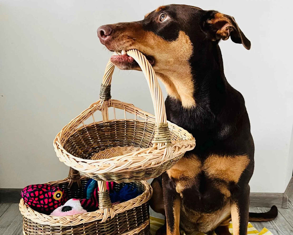 Wicker tray 024b - NaturelyWoven wicker - handmade