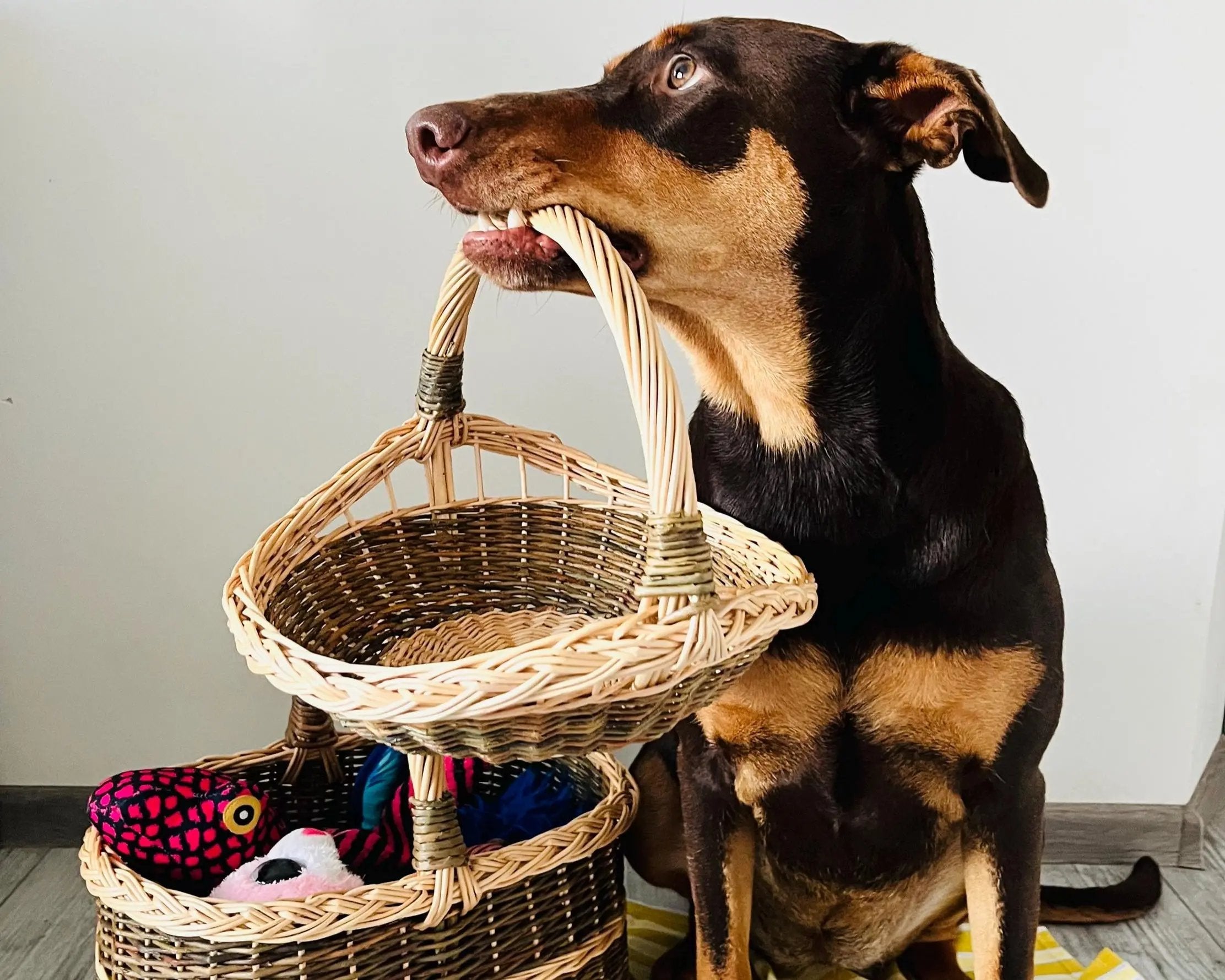 Handmade Wicker Basket – Rustic Willow Trug for Bread Serving & Garden Gathering - NaturelyWoven