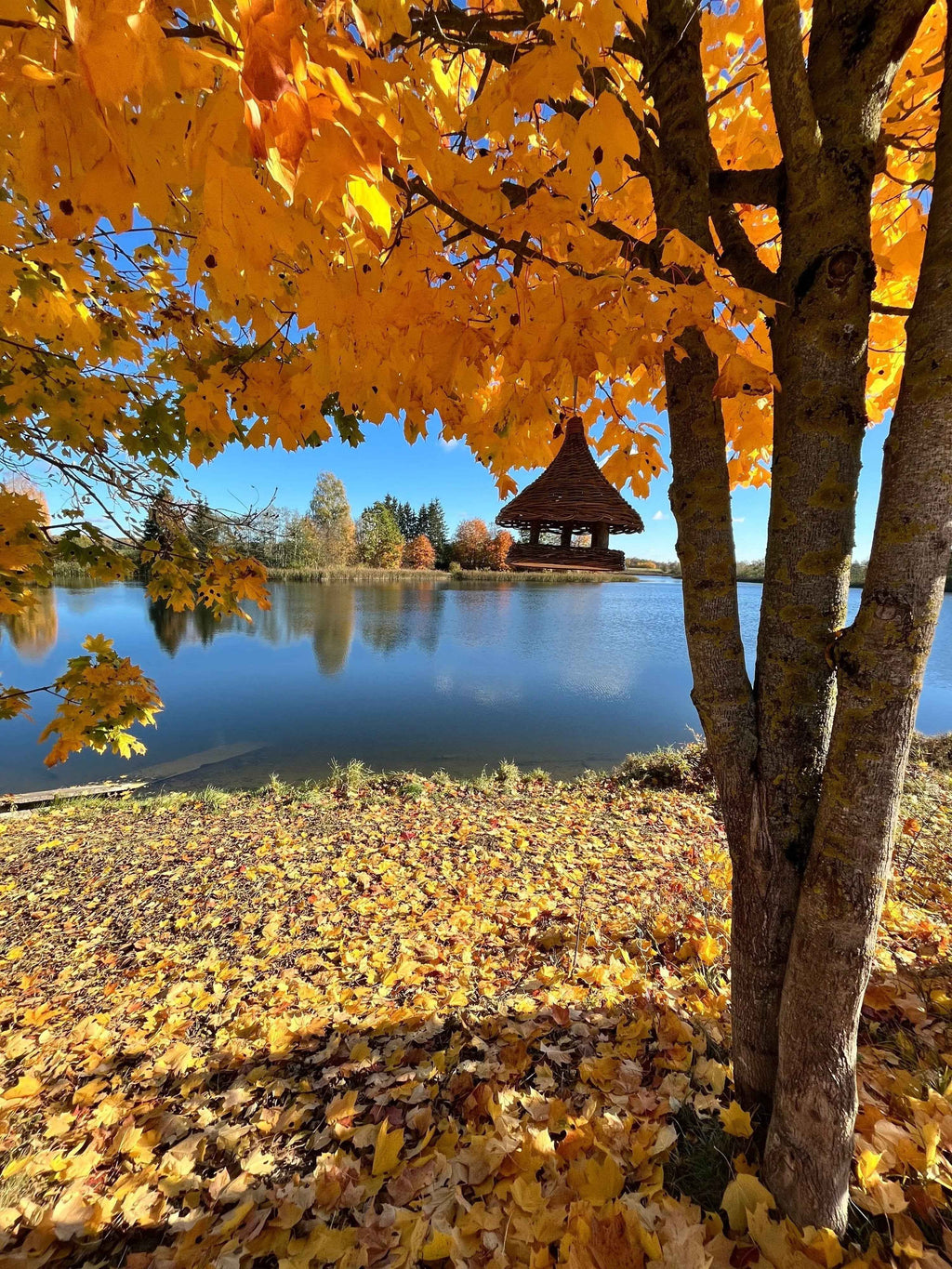 Wicker bird feeder 016b - NaturelyWoven wicker - handmade