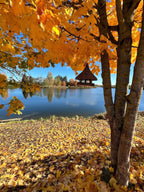 Wicker bird feeder 016b - NaturelyWoven wicker - handmade