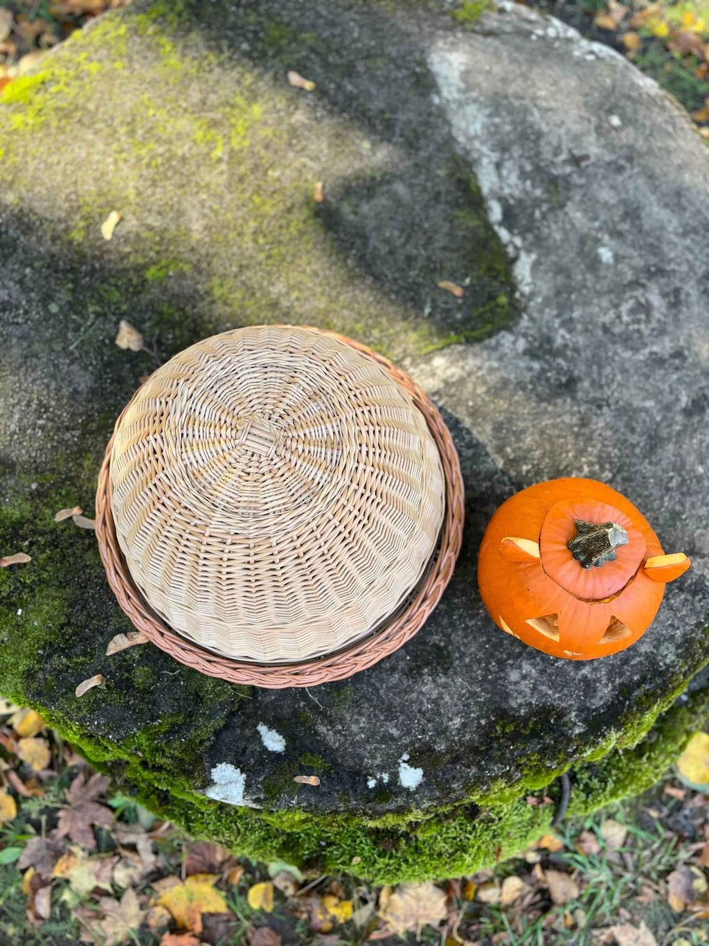 Wicker food cover 007b - NaturelyWoven wicker - handmade