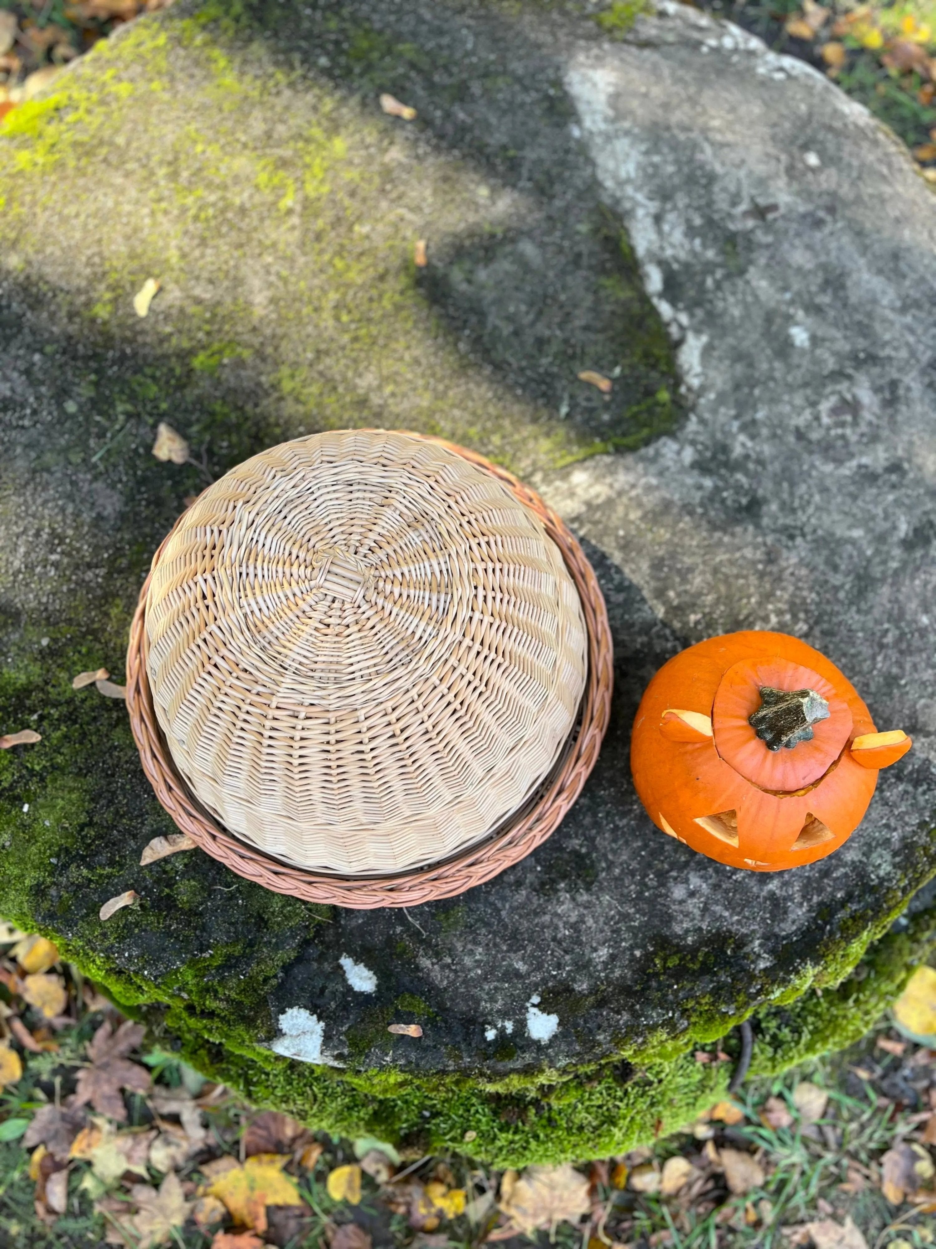 Handmade Wicker Food Cover – Natural Willow Tray with Woven Cloche Dome - NaturelyWoven