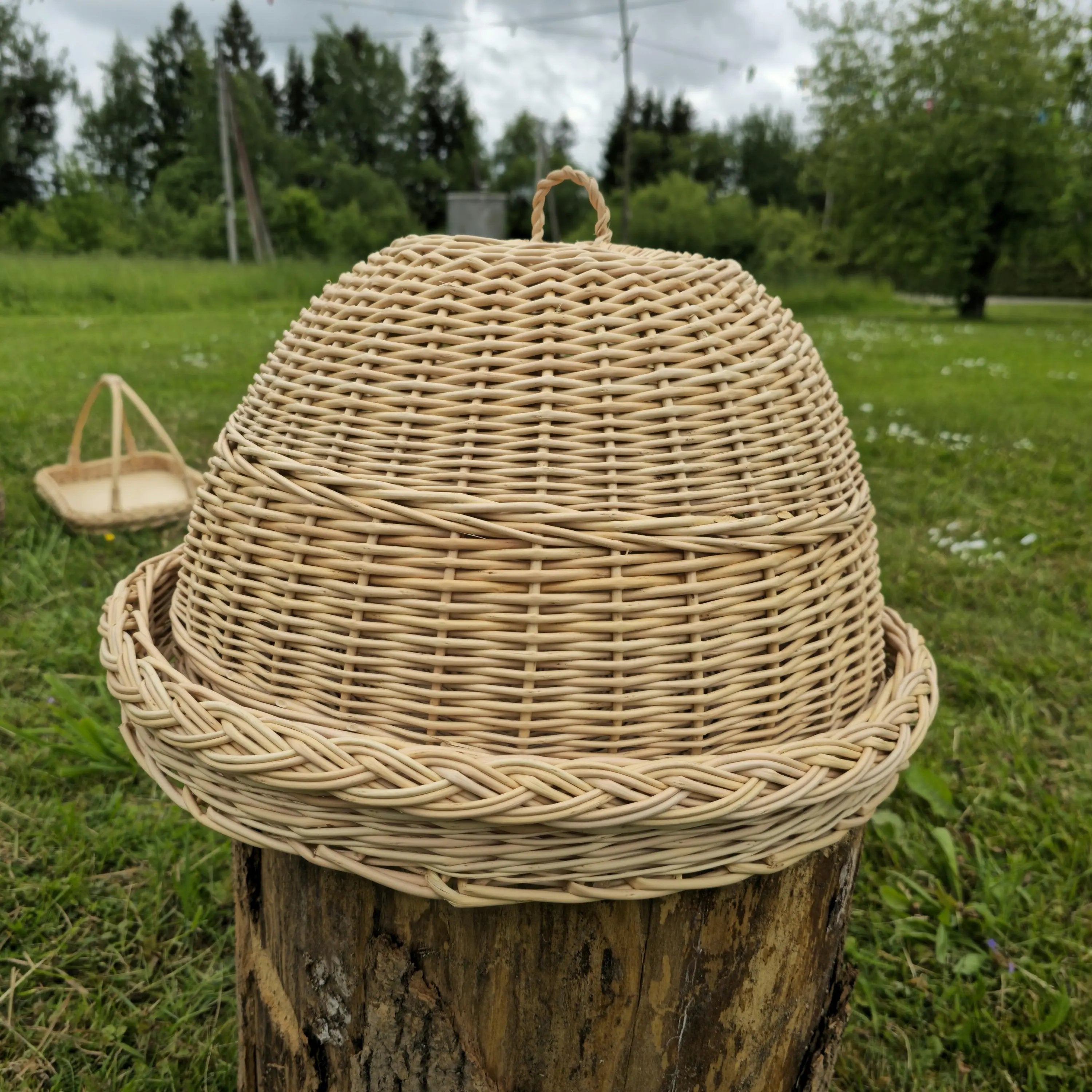 Handmade Wicker Food Cover – Natural Willow Tray with Woven Cloche Dome - NaturelyWoven