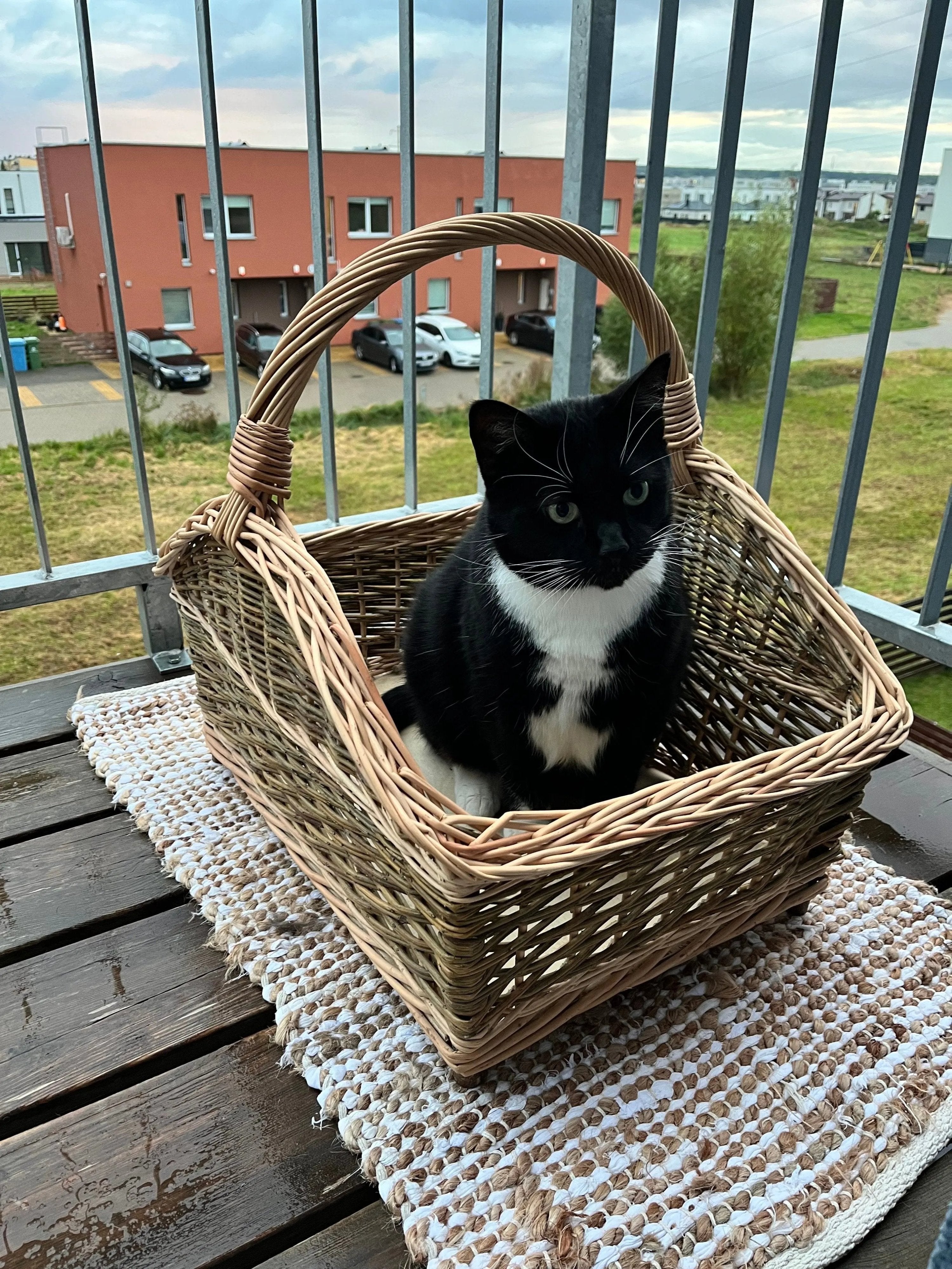 Large Rustic Wicker Firewood Basket with Handle - NaturelyWoven