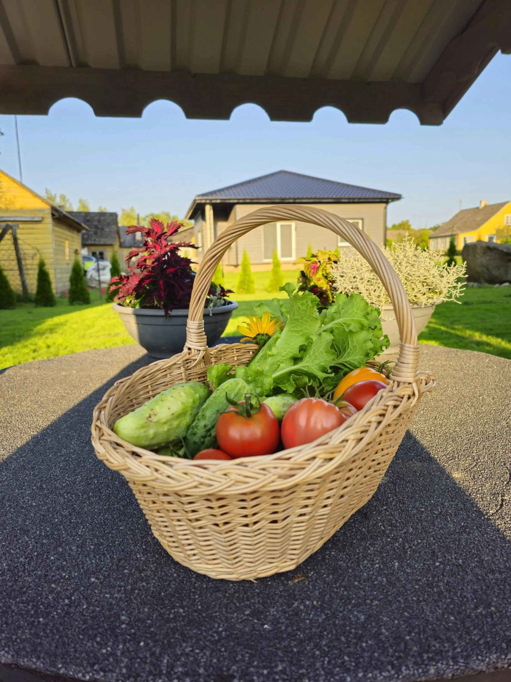 Wicker basket 020b - NaturelyWoven wicker - handmade