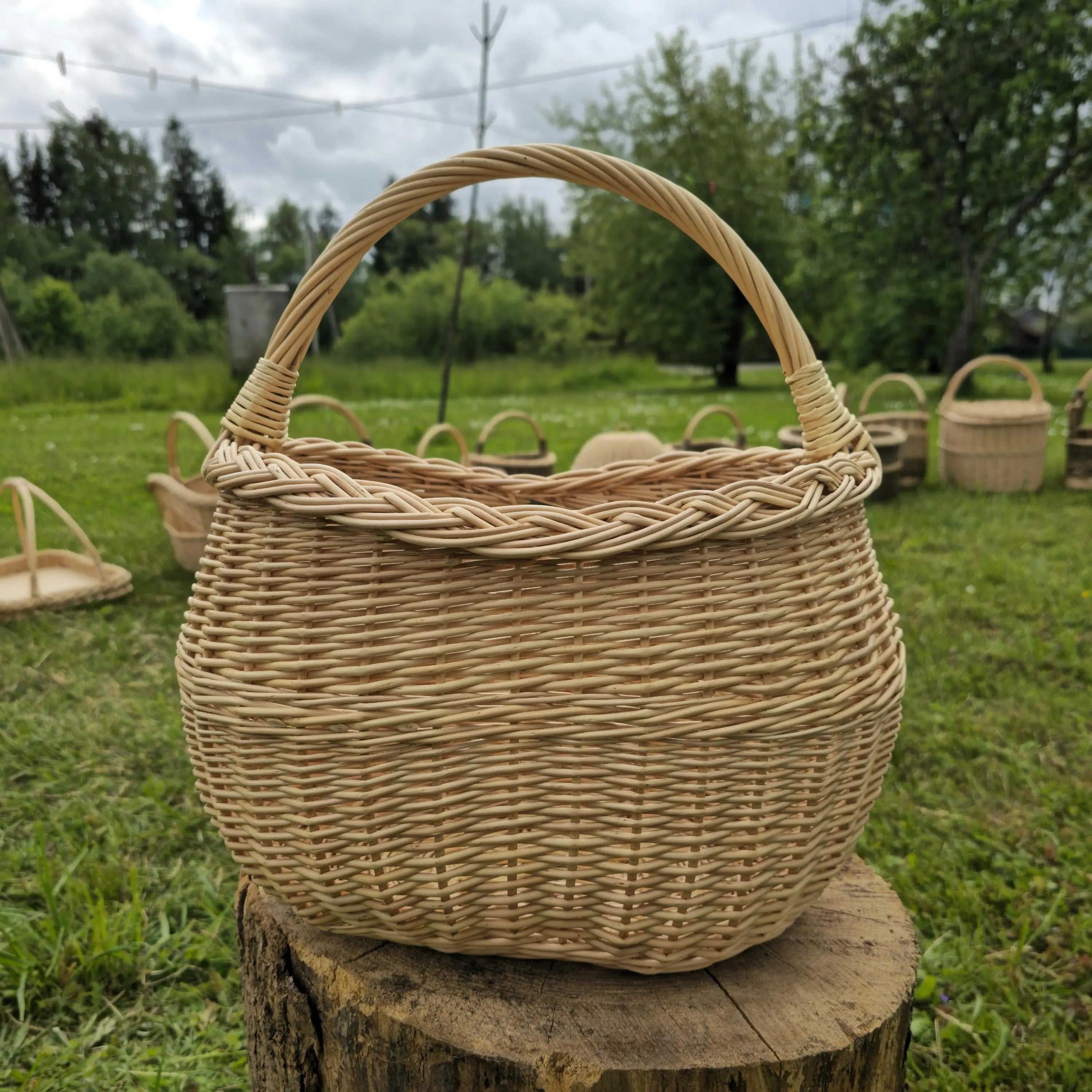 Handwoven Wicker Basket – Natural Willow Oval Storage with Braided Edge - NaturelyWoven